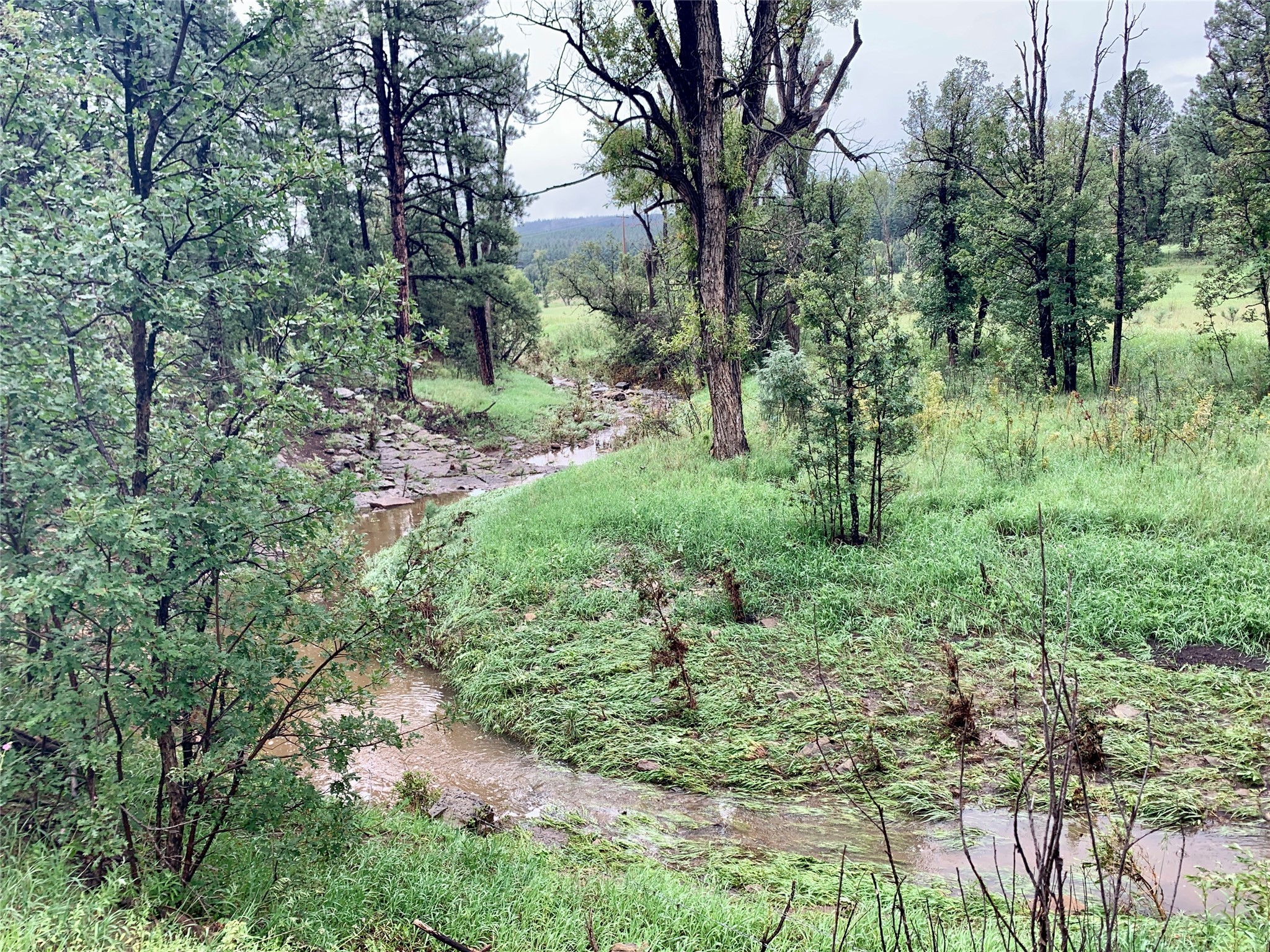 Rancho San Ignacio, Sapello, New Mexico image 36