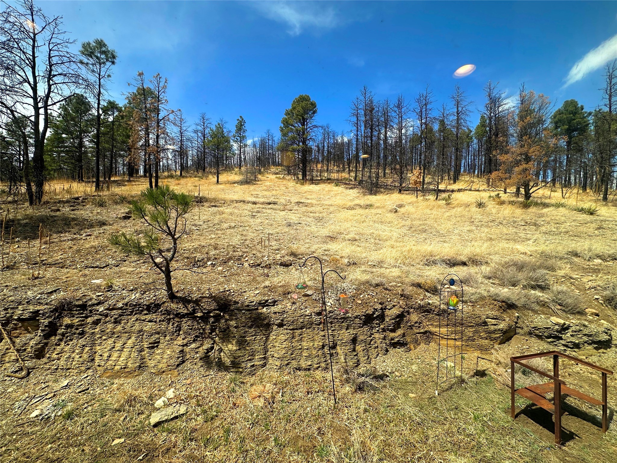 48 County Road A28, Sapello, New Mexico image 47