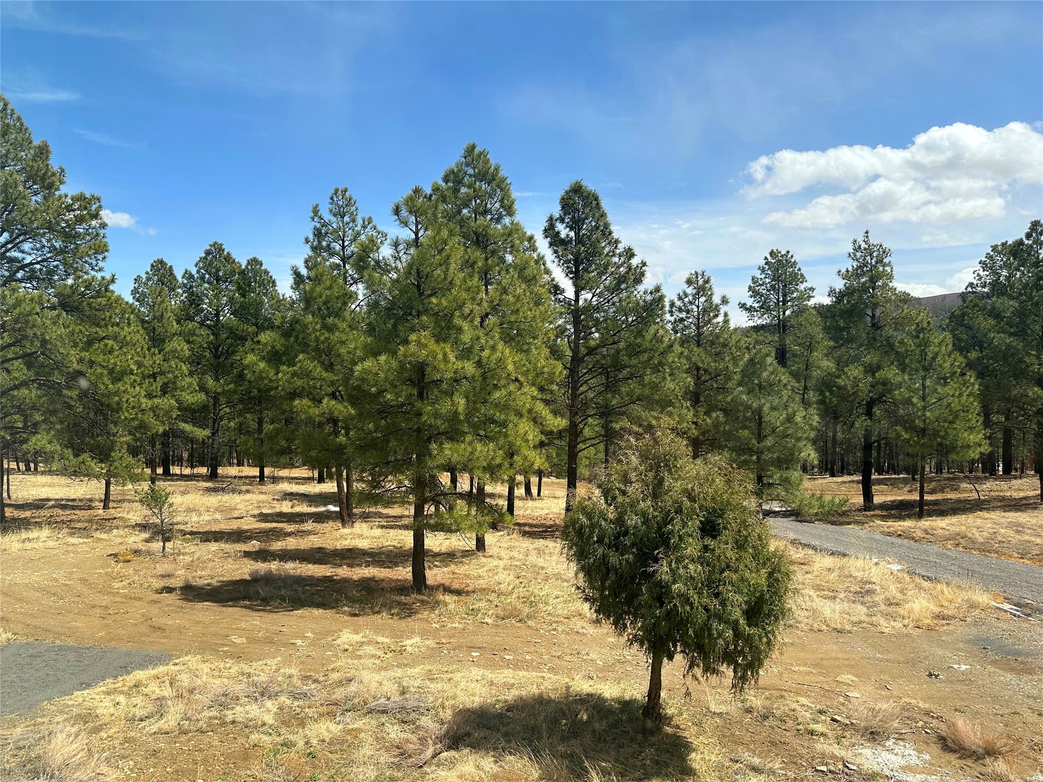 48 County Road A28, Sapello, New Mexico image 45