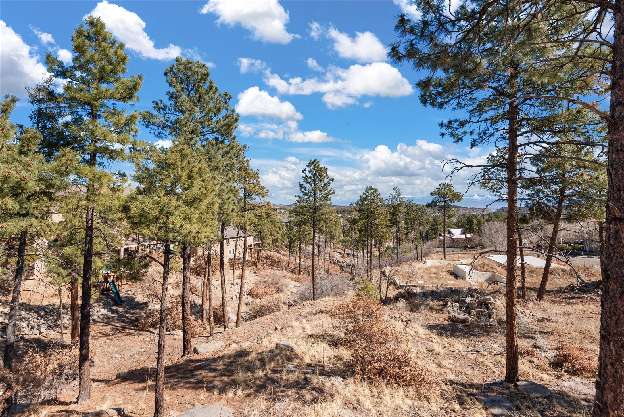 1640 Tranquilo, Los Alamos, New Mexico image 28