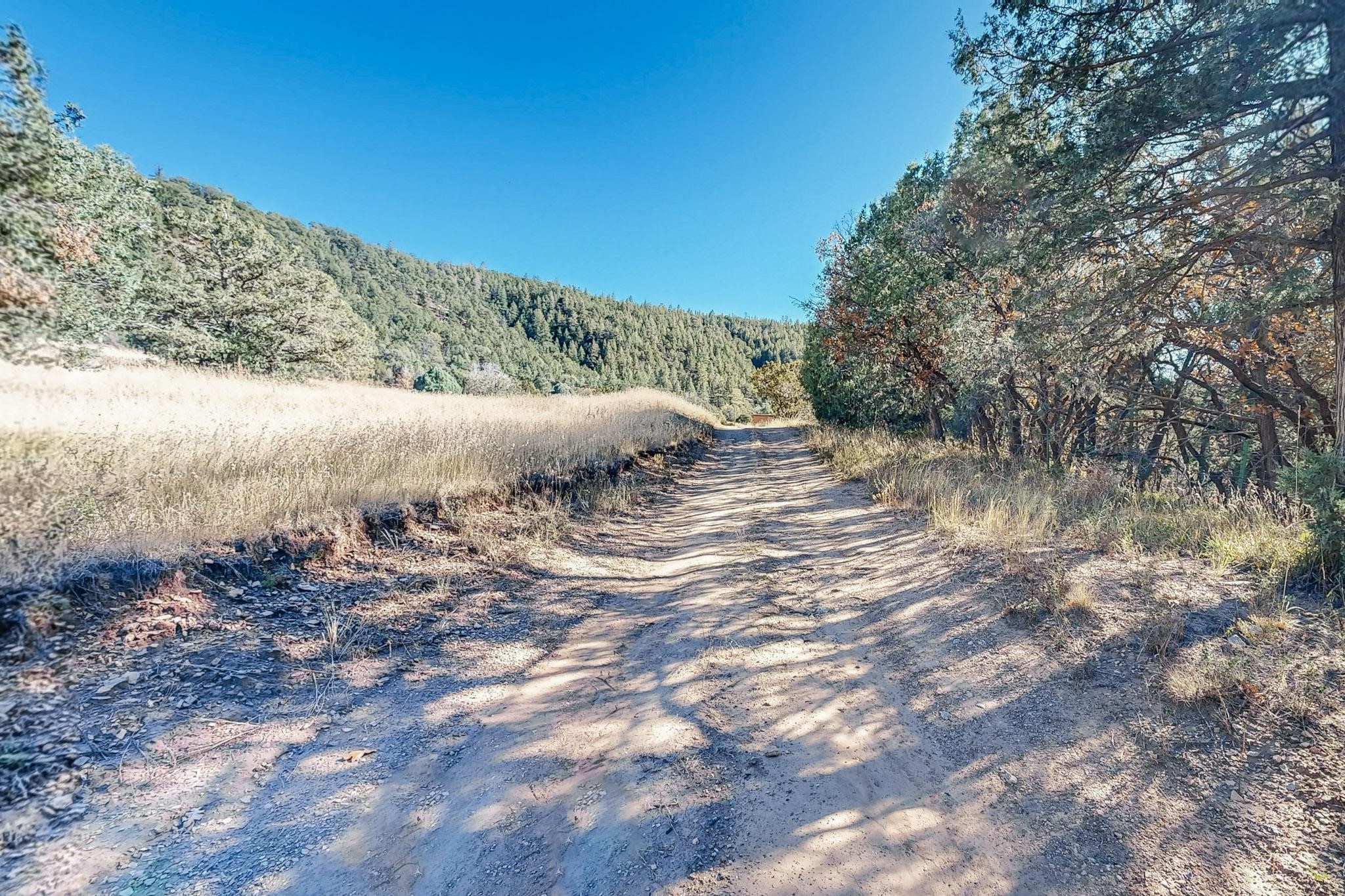 27 Acres Nm Hwy 63, Pecos, New Mexico image 39