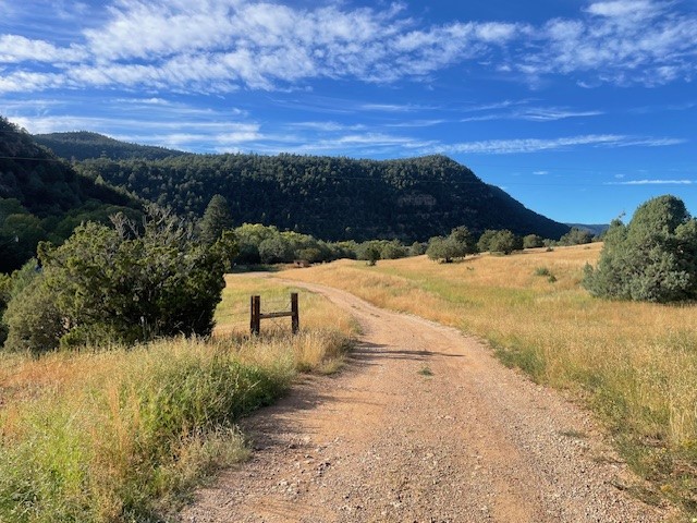 27 Acres Nm Hwy 63, Pecos, New Mexico image 5