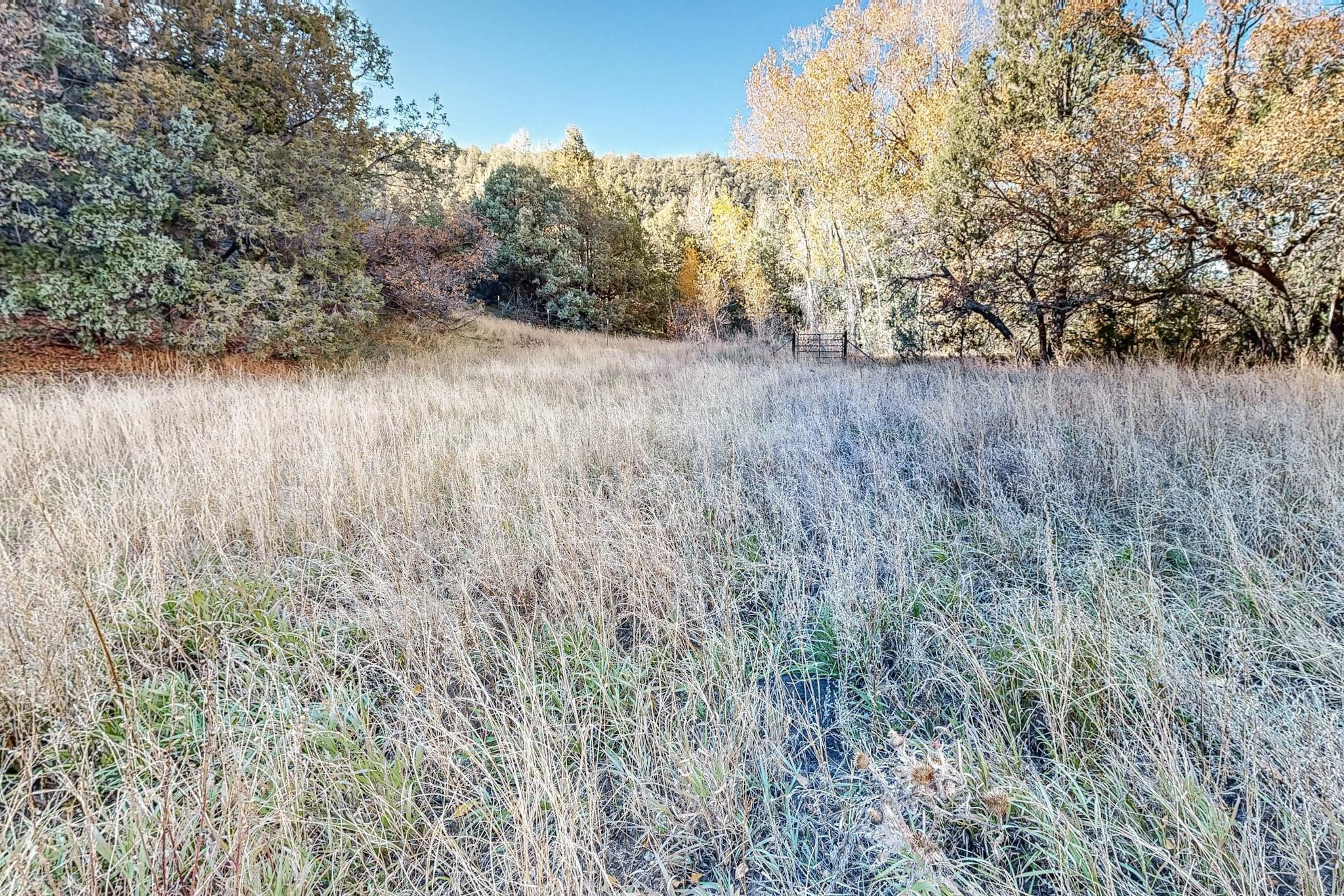 27 Acres Nm Hwy 63, Pecos, New Mexico image 41