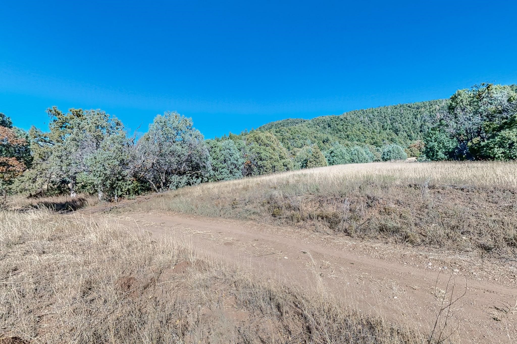 27 Acres Nm Hwy 63, Pecos, New Mexico image 30