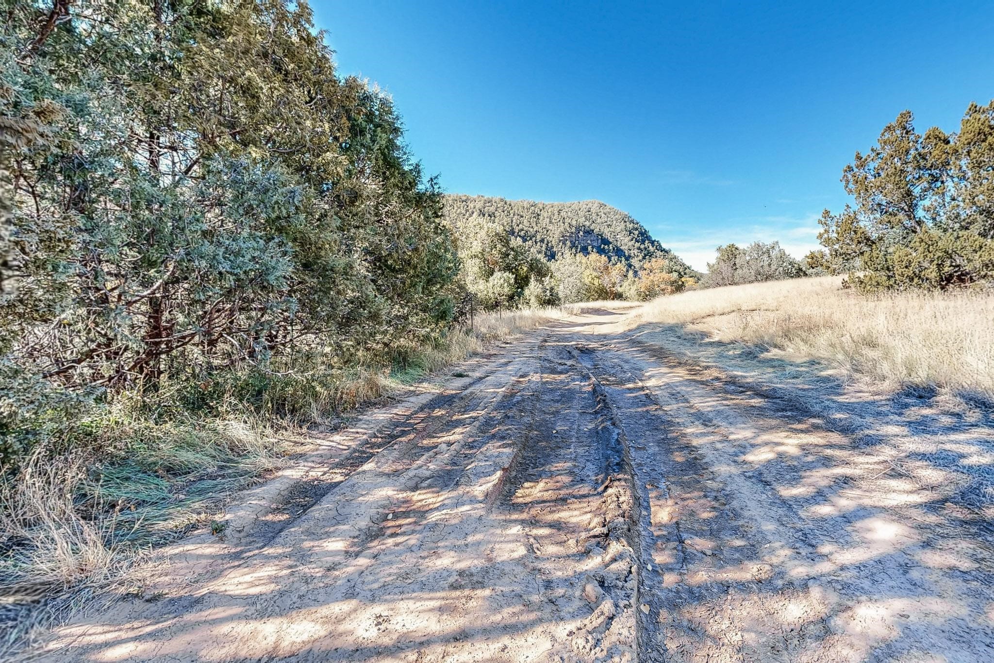 27 Acres Nm Hwy 63, Pecos, New Mexico image 38