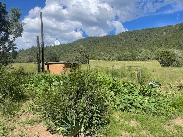 27 Acres Nm Hwy 63, Pecos, New Mexico image 46