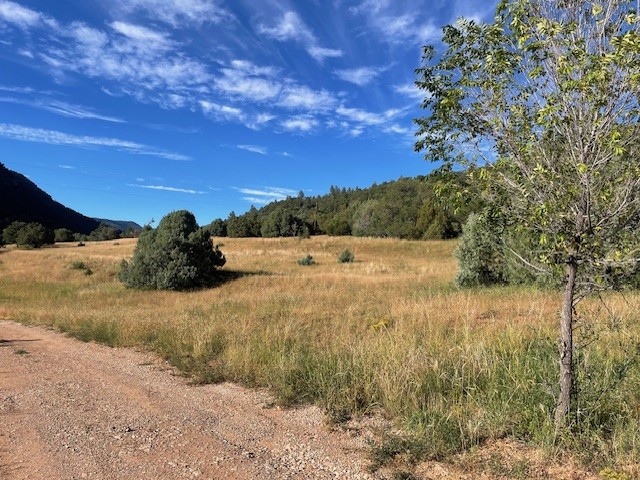 27 Acres Nm Hwy 63, Pecos, New Mexico image 43