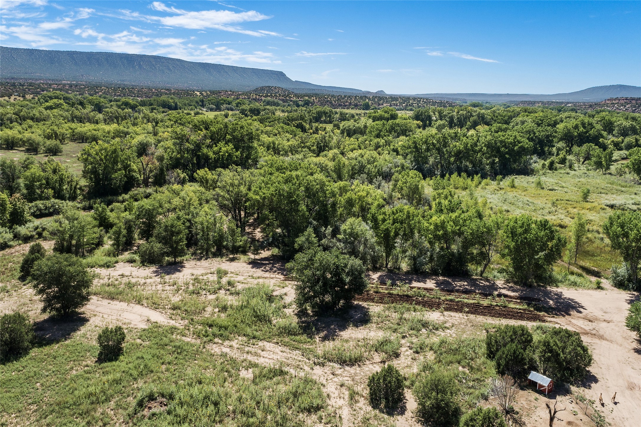 226 Nm Hwy 3, Ribera, New Mexico image 33