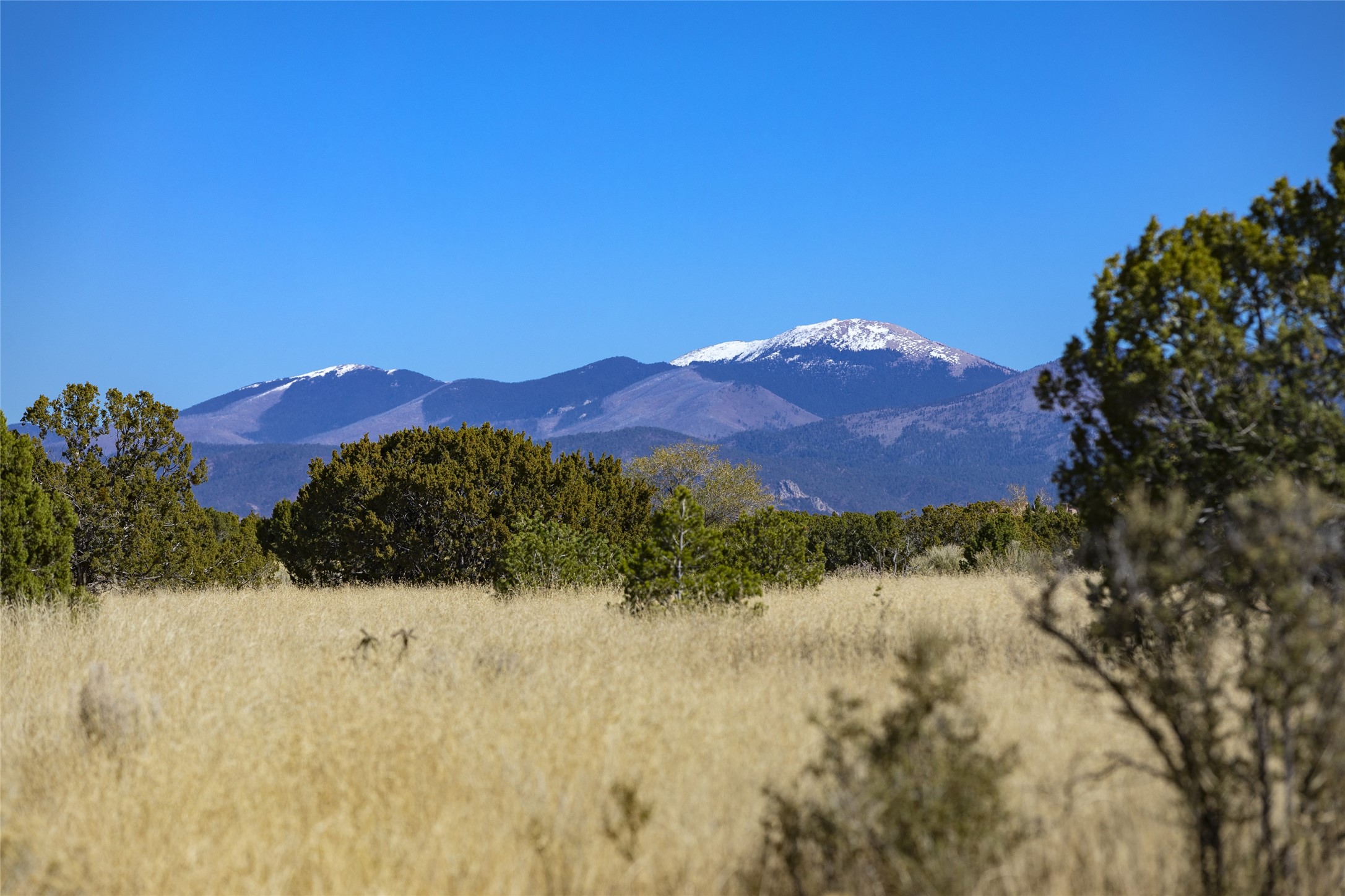 38 Wildhorse, Santa Fe, New Mexico image 48