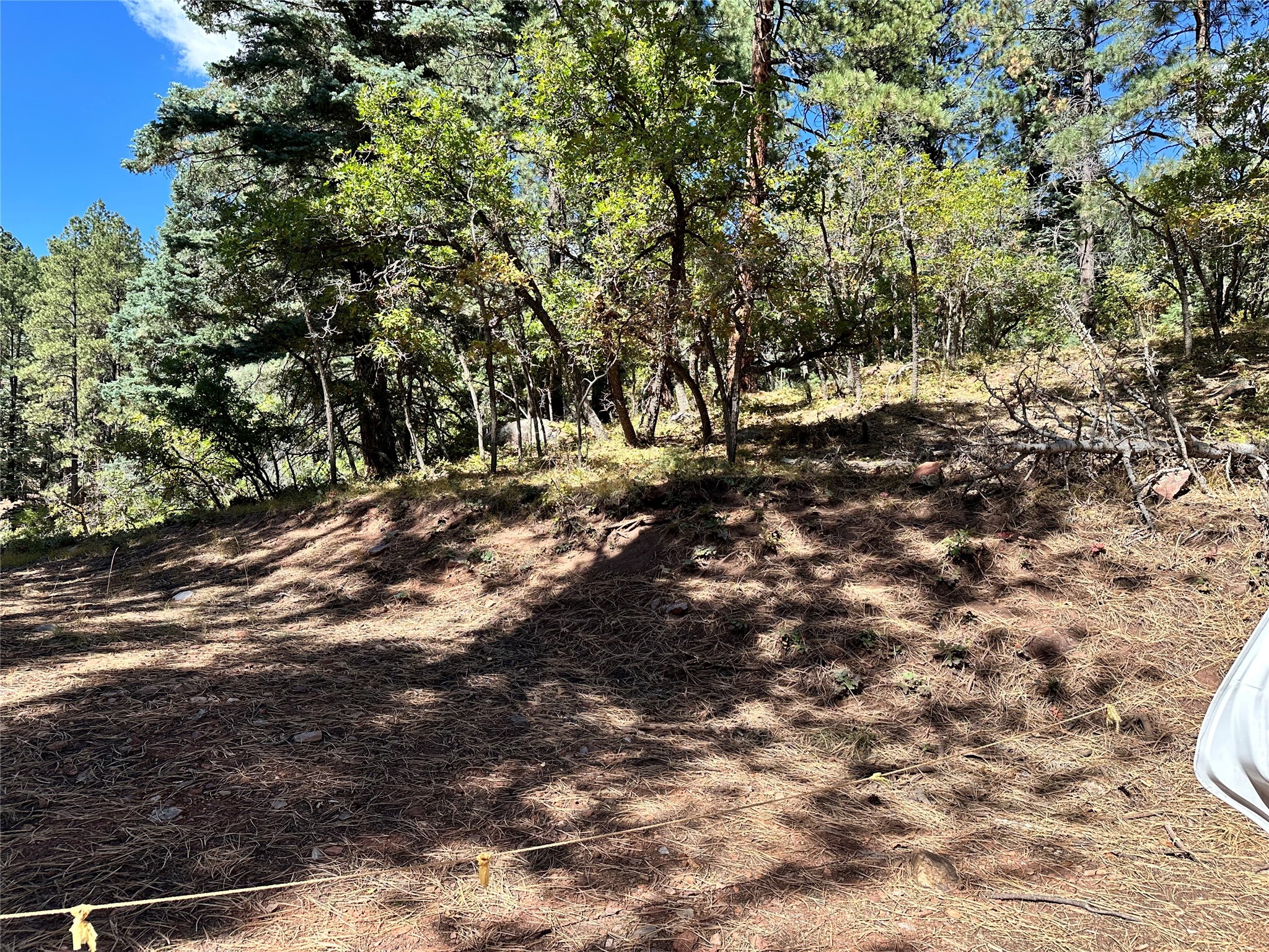 Tract 7g Highland Rd #UNIT 3, Chama, New Mexico image 3