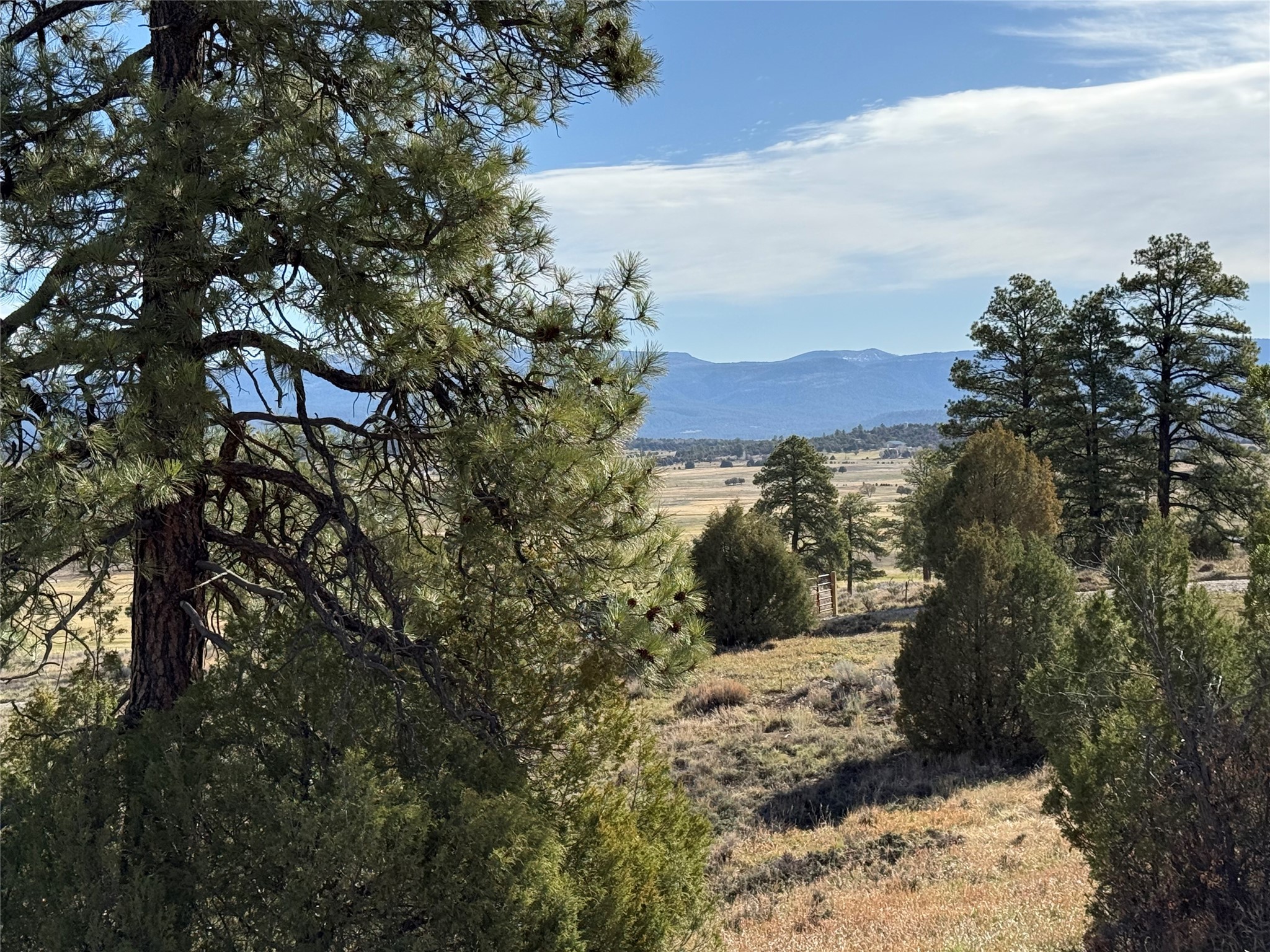 Garth Tract, Los Ojos, New Mexico image 9