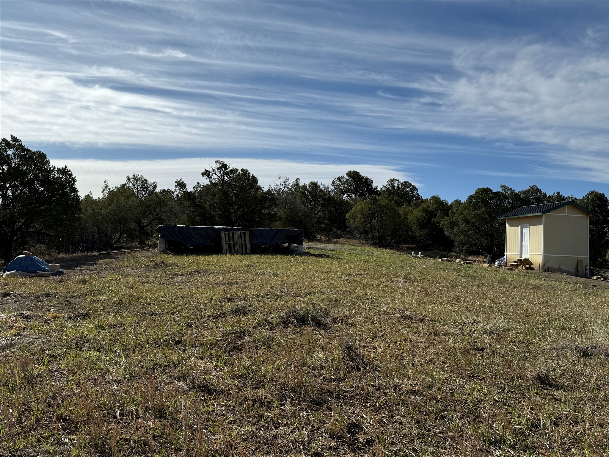 Garth Tract, Los Ojos, New Mexico image 10