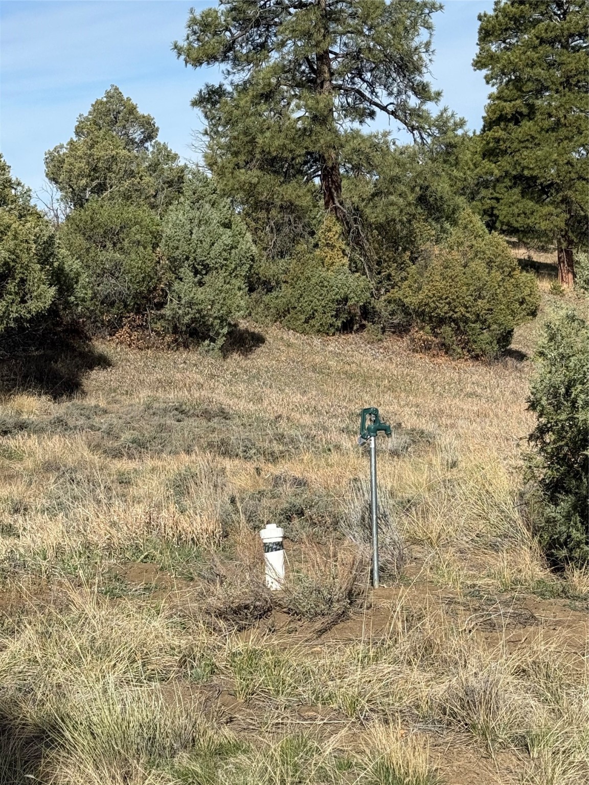 Garth Tract, Los Ojos, New Mexico image 11