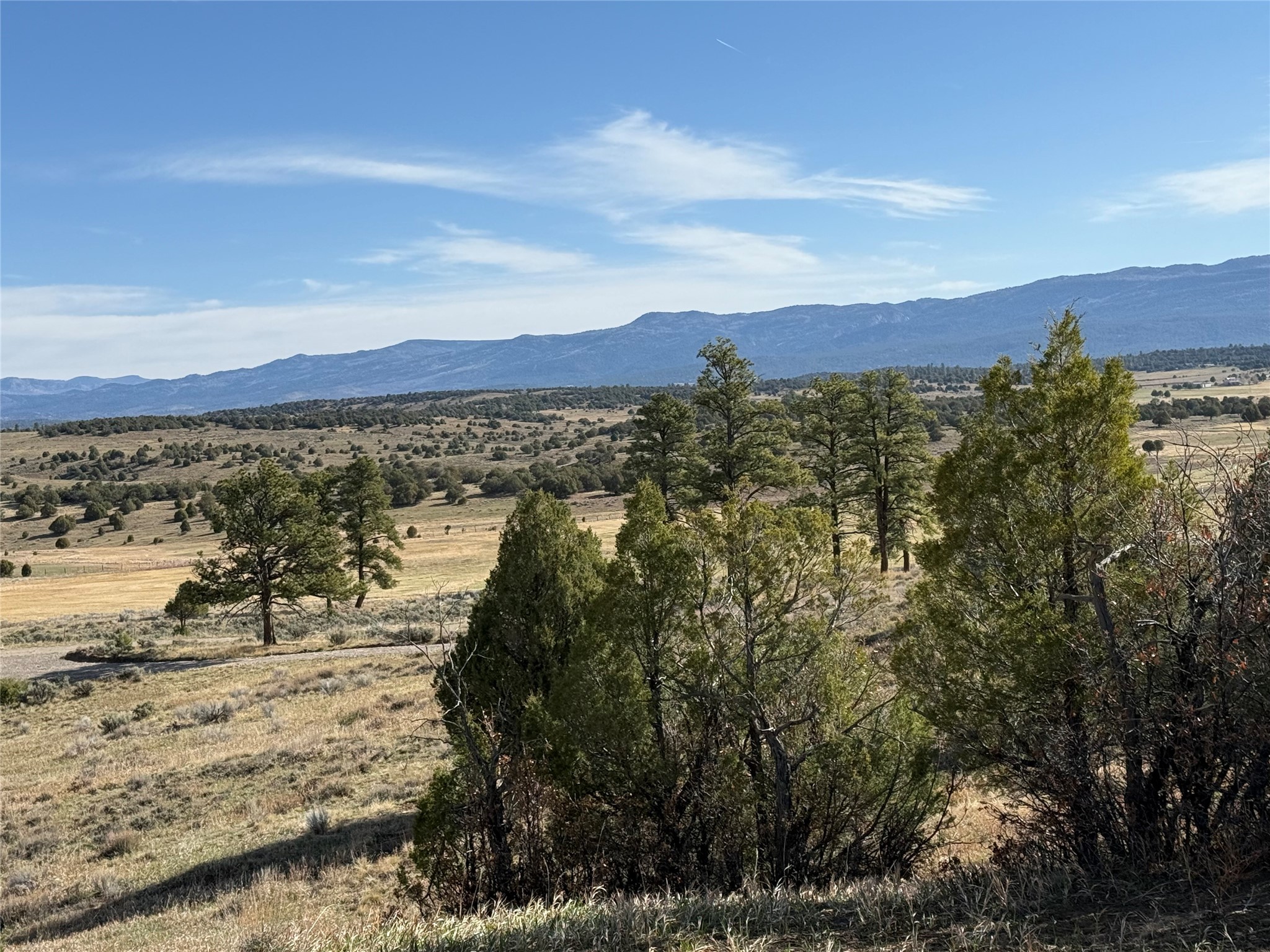 Garth Tract, Los Ojos, New Mexico image 8