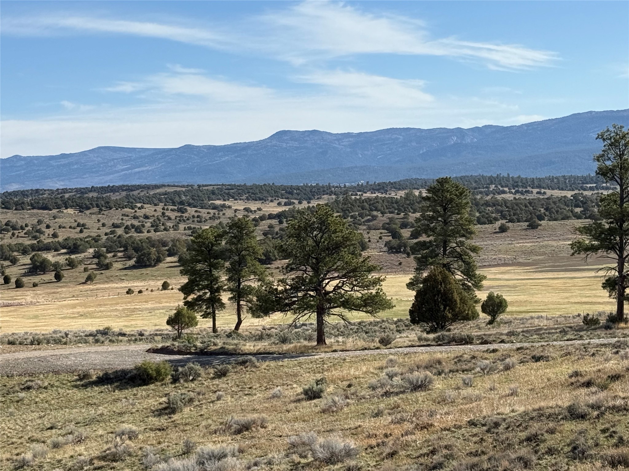 Garth Tract, Los Ojos, New Mexico image 6