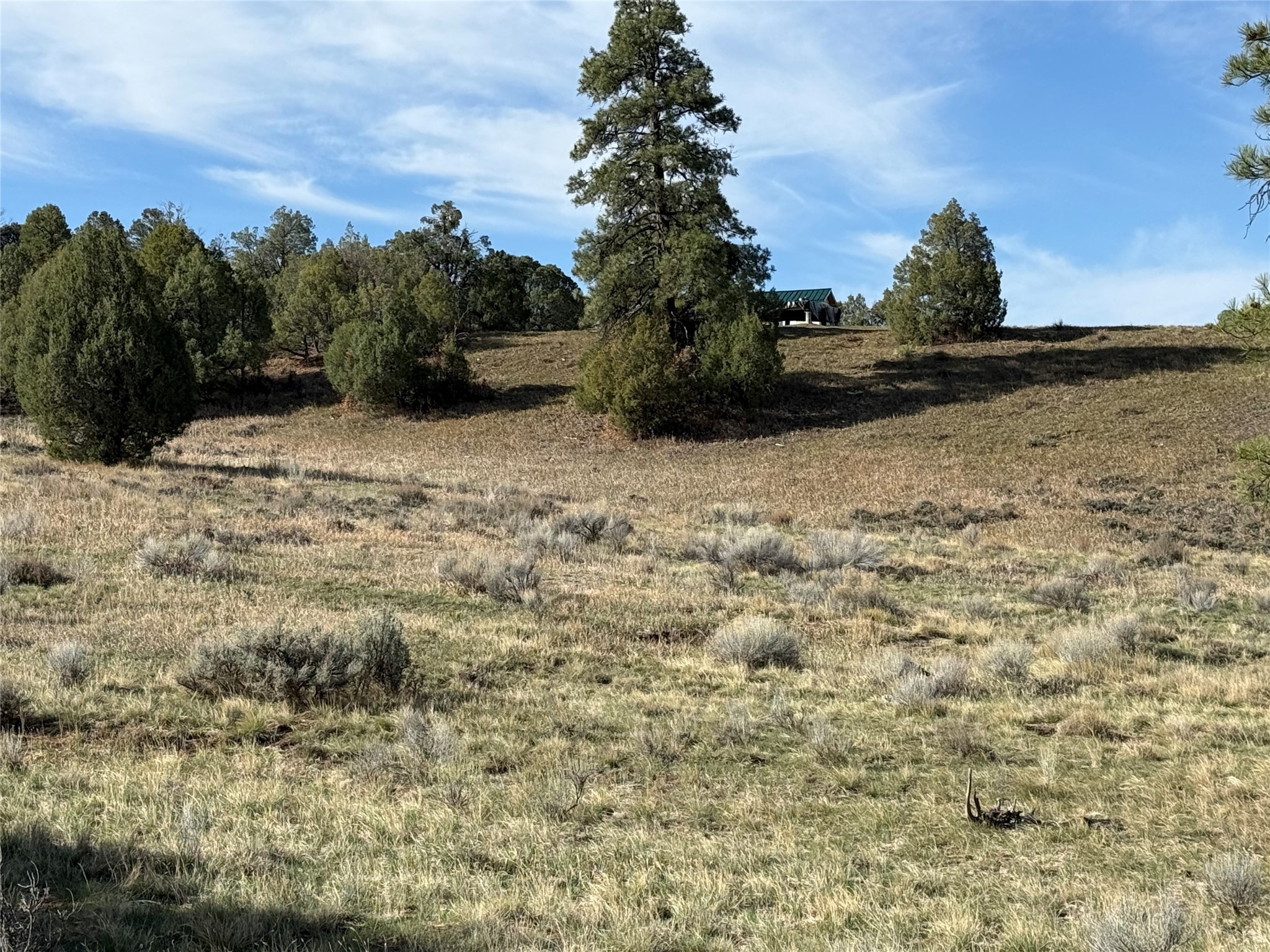 Garth Tract, Los Ojos, New Mexico image 7