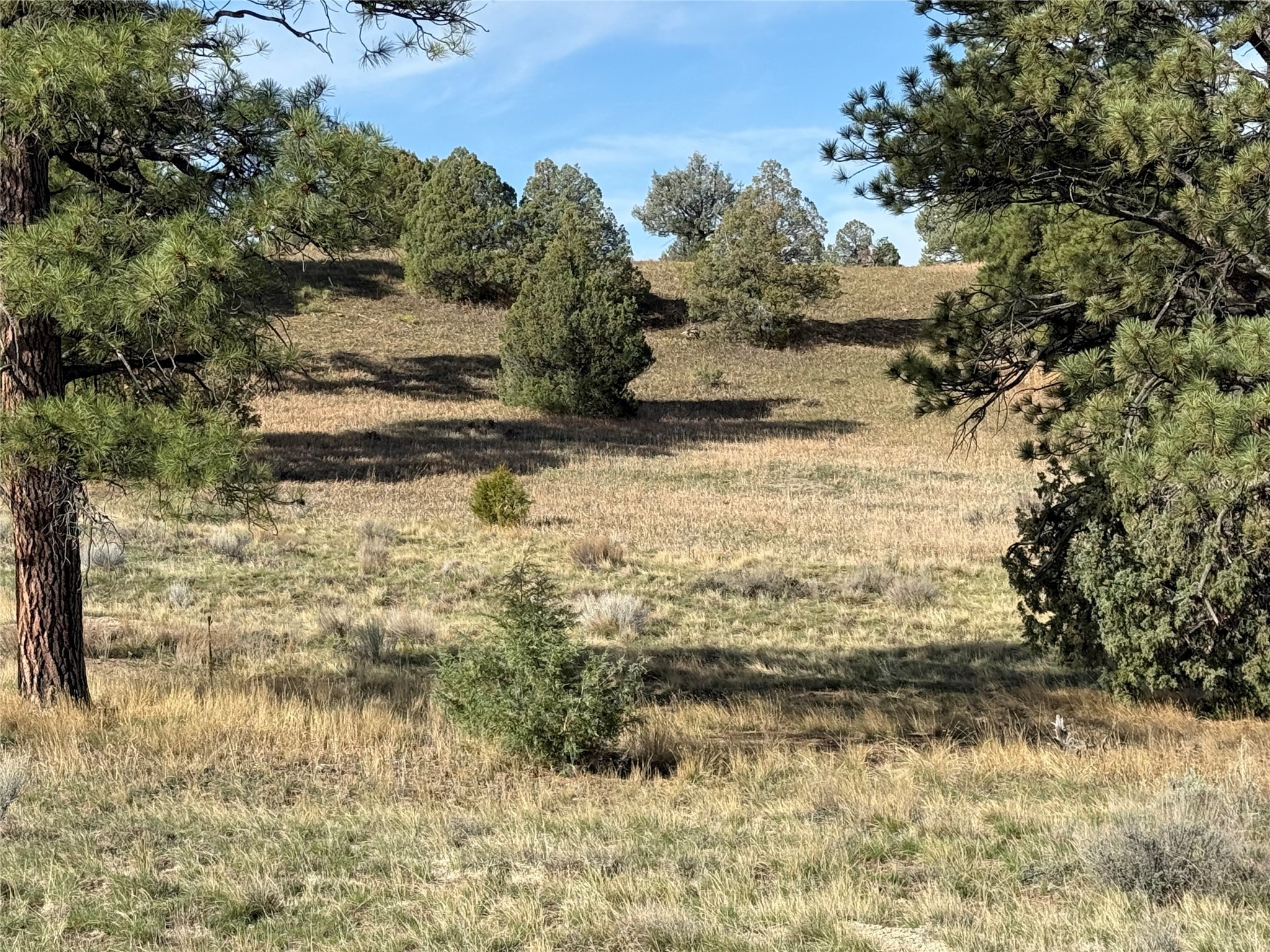 Garth Tract, Los Ojos, New Mexico image 4