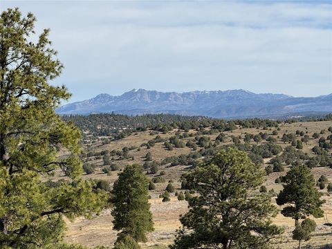 Vacant Land For Sale - Garth Tract<br/> Los Ojos, NM 87551