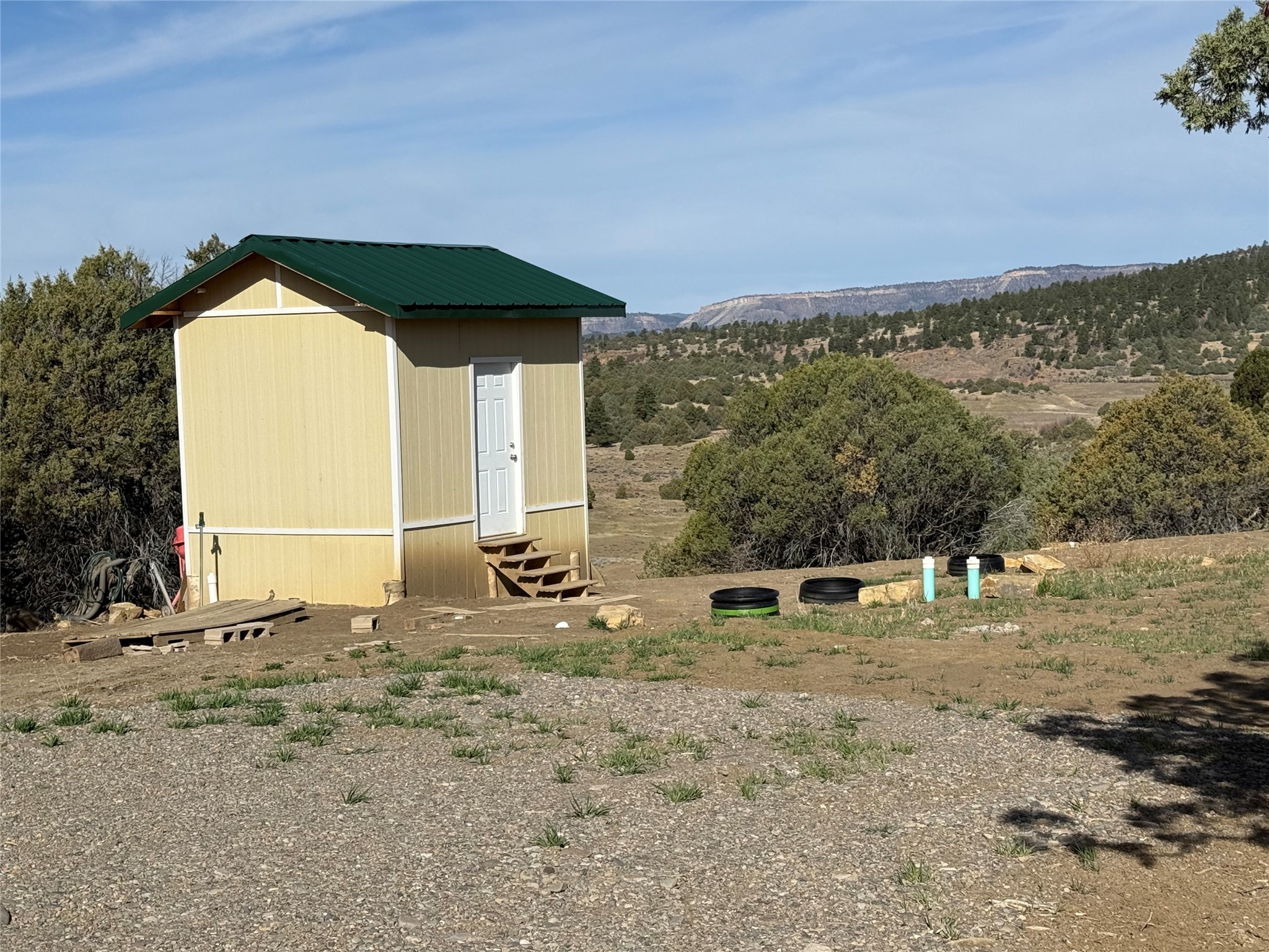 Garth Tract, Los Ojos, New Mexico image 5