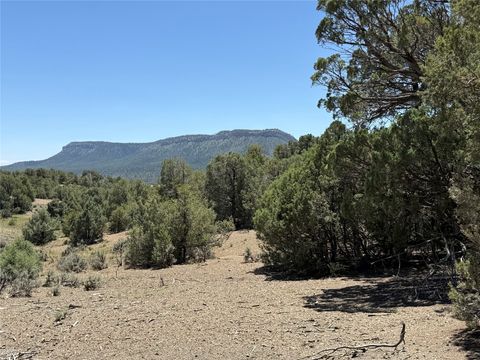 Vacant Land For Sale - Christy Lane<br/> Los Ojos, NM 87551