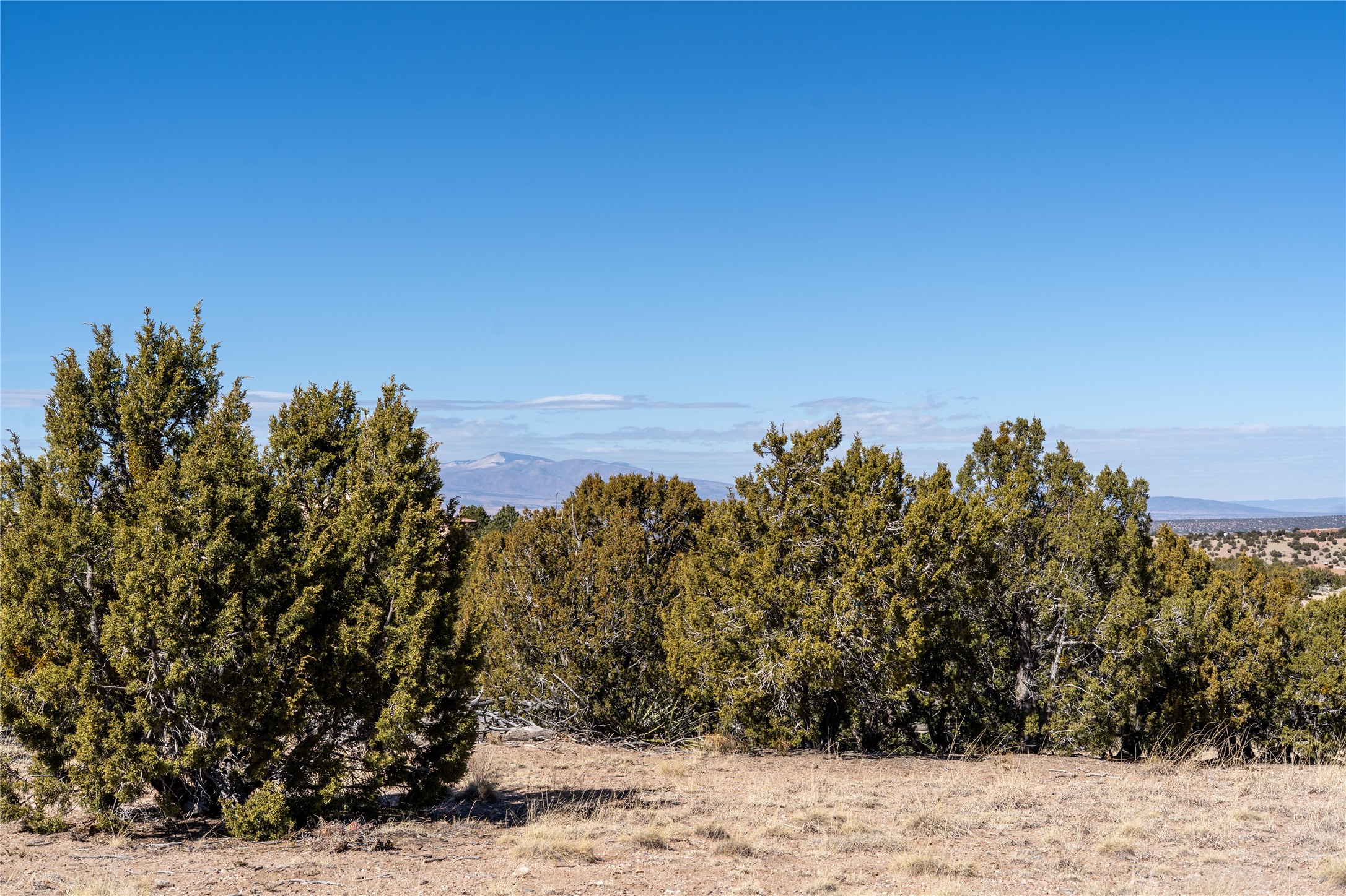 28 Paseo Del Halcon, Santa Fe, New Mexico image 36