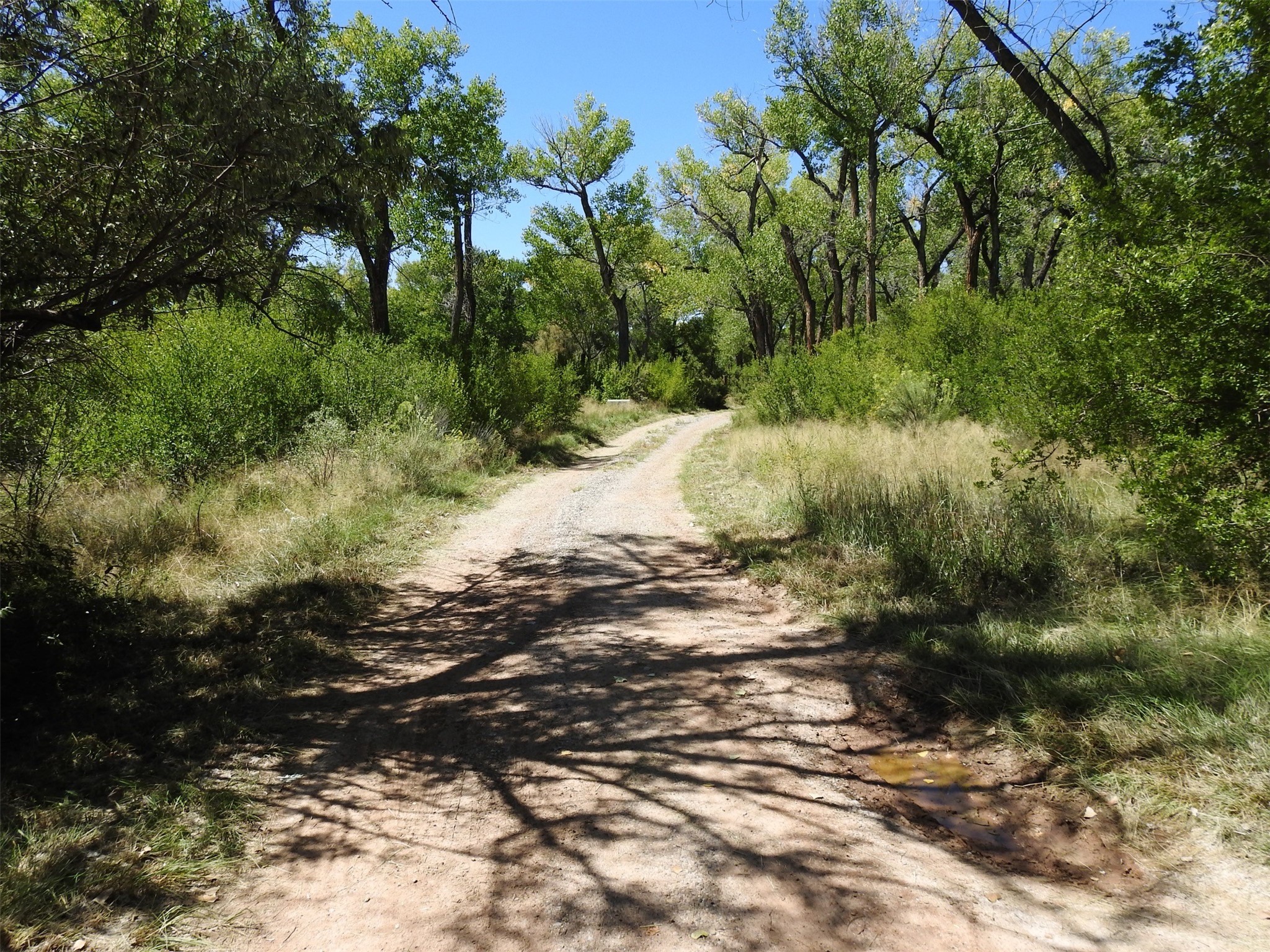 #42 Private 1622 Drive #2, Abiquiu, New Mexico image 2