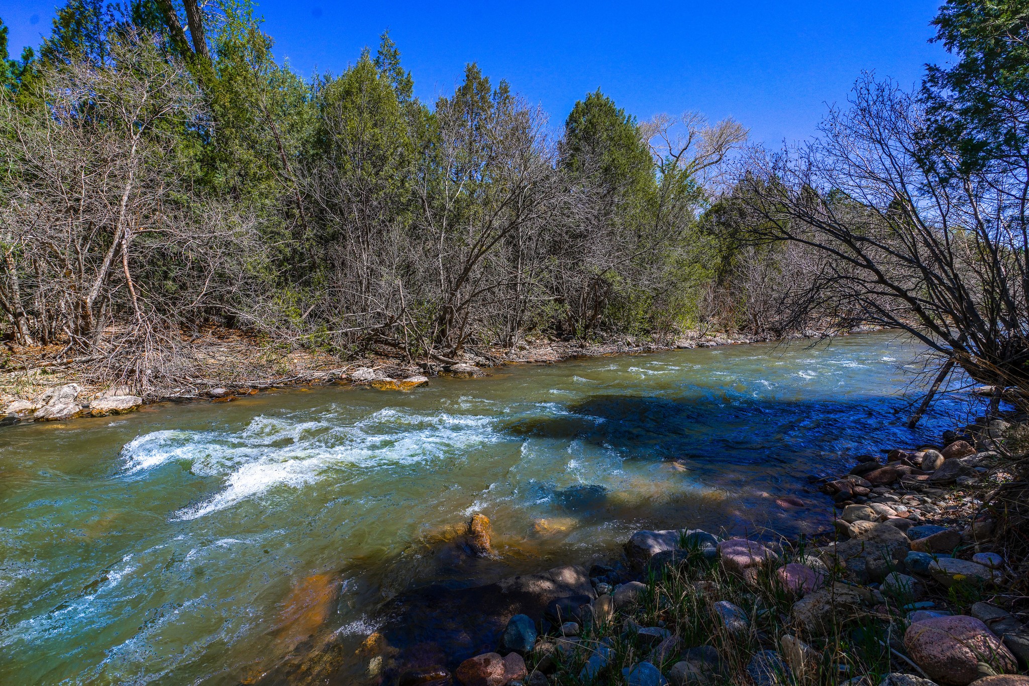 16 Brook Lane, Pecos, New Mexico image 23