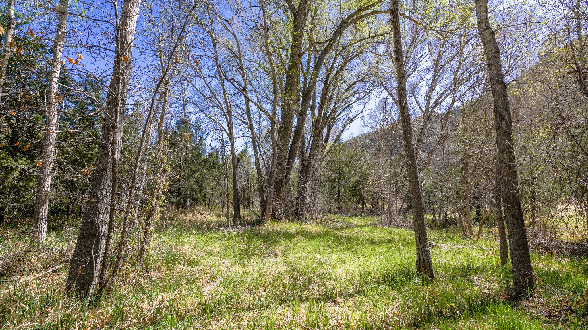 16 Brook Lane, Pecos, New Mexico image 26