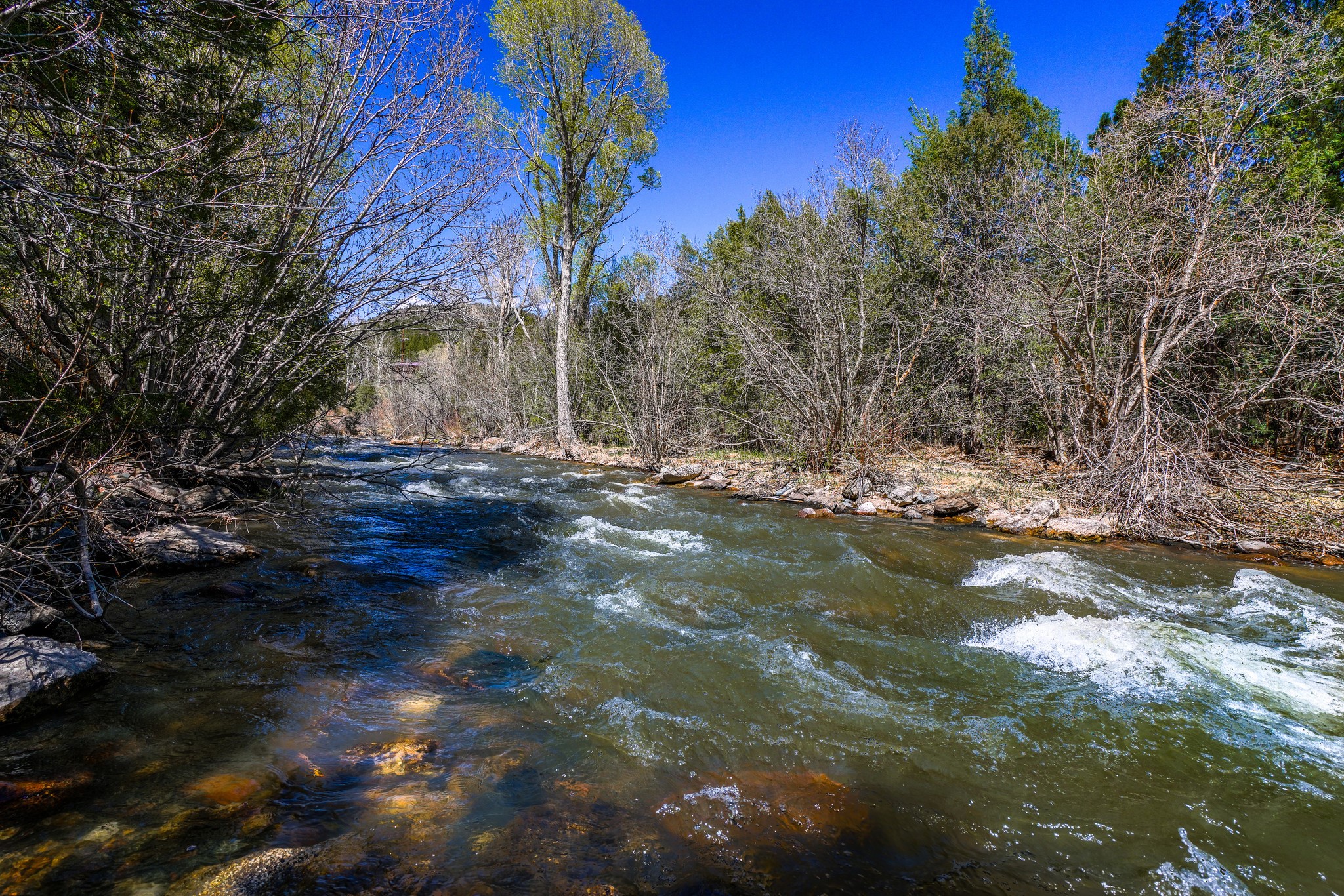 16 Brook Lane, Pecos, New Mexico image 1