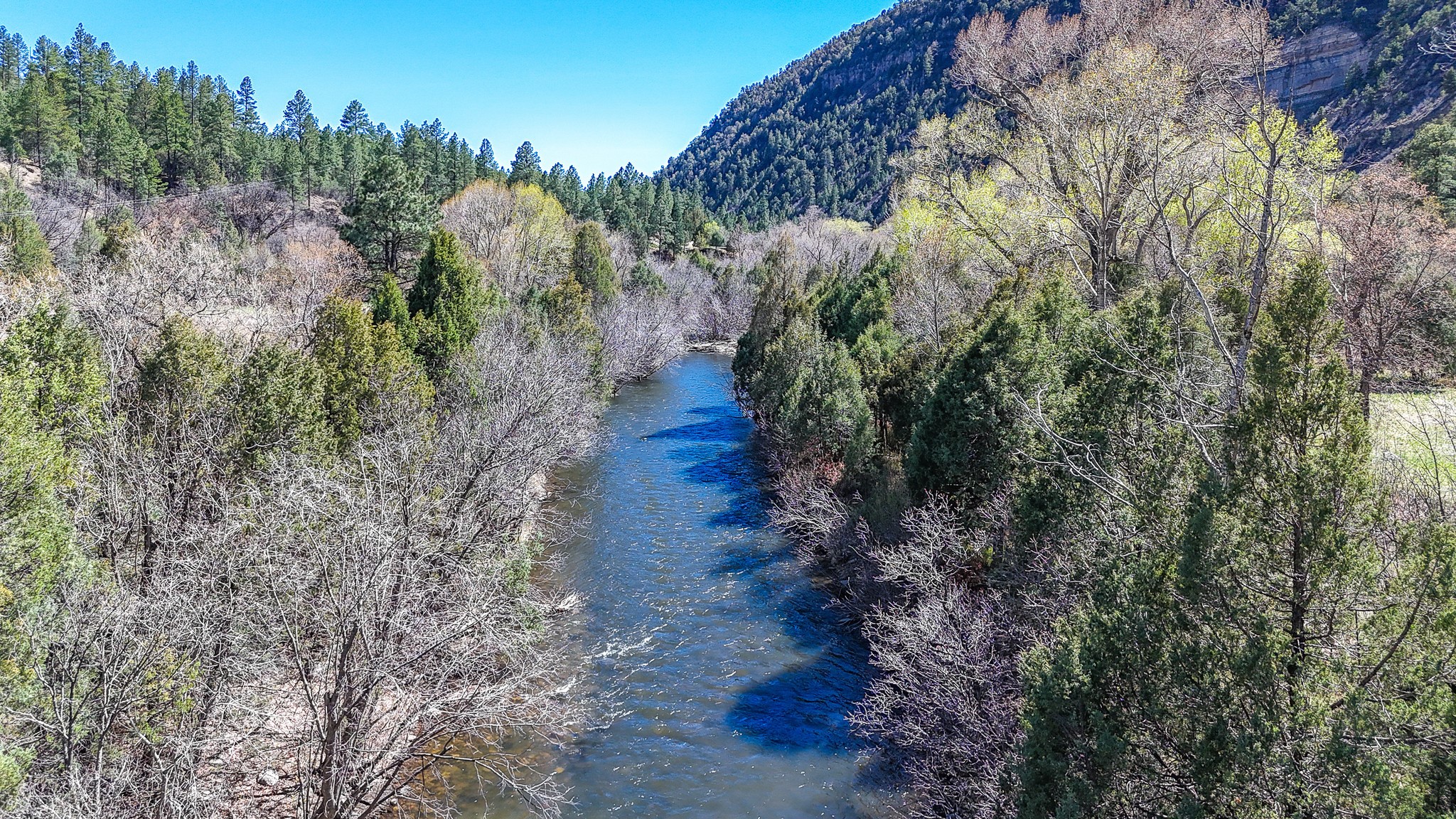 16 Brook Lane, Pecos, New Mexico image 7
