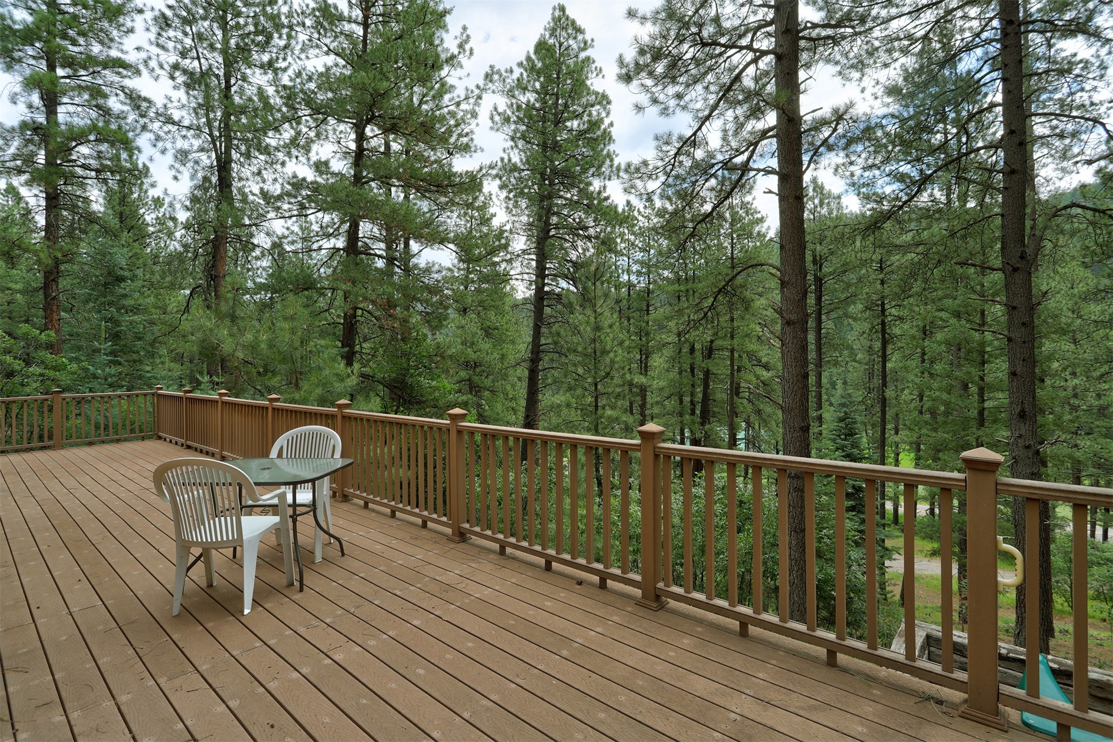 123 Sleepy Pine Lane, Jemez Springs, New Mexico image 20