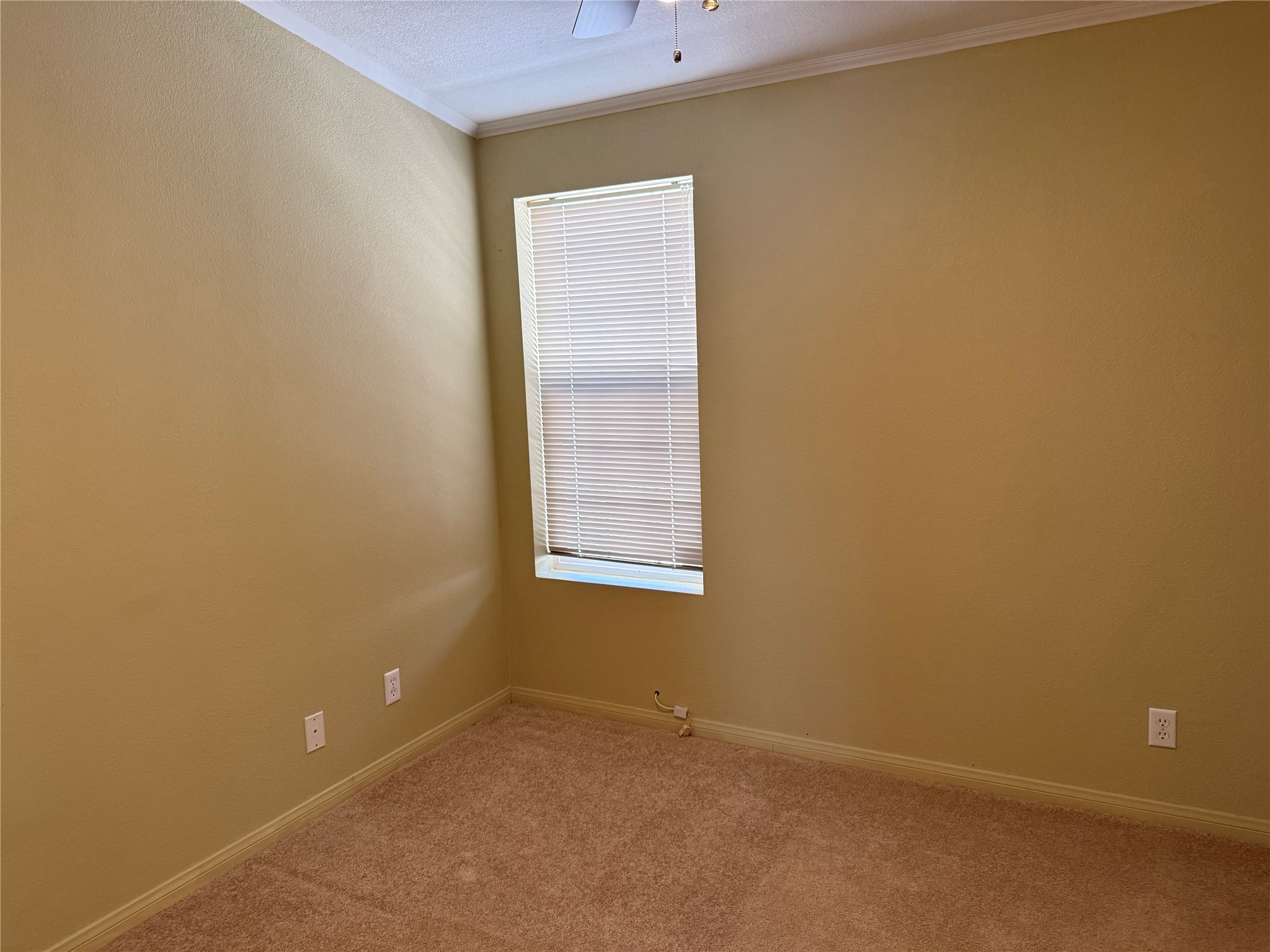 95A Elk Lane Ln, Los Ojos, New Mexico image 20