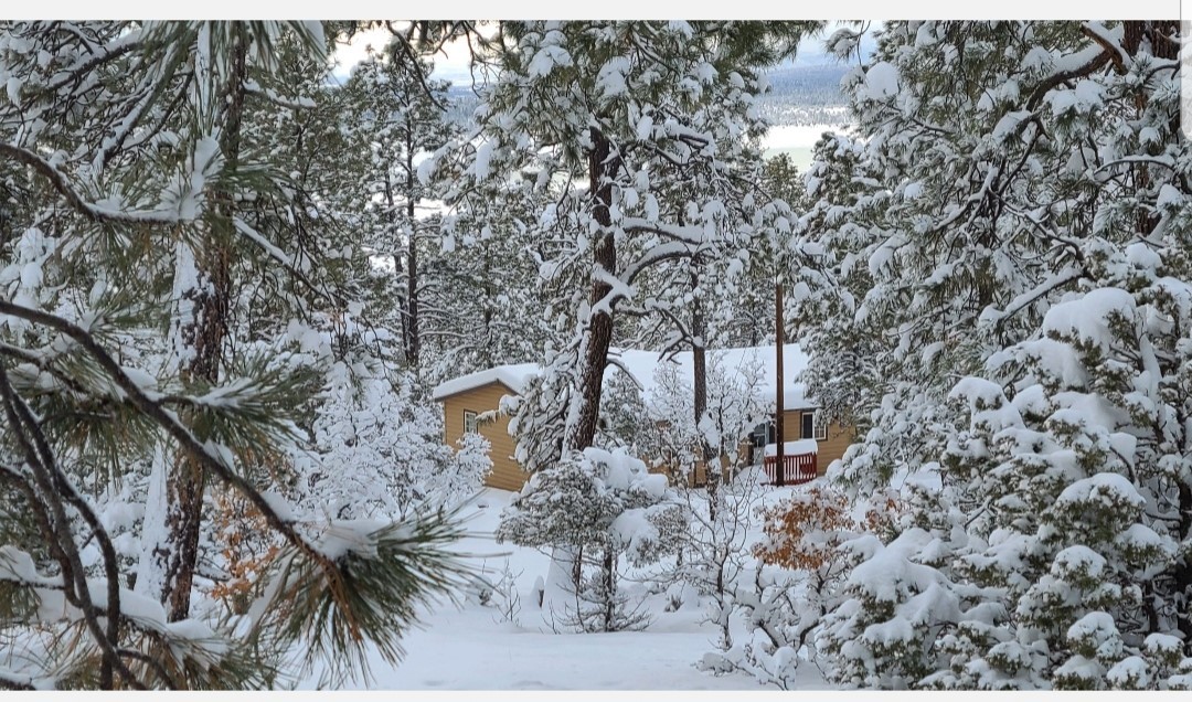 95A Elk Lane Ln, Los Ojos, New Mexico image 34