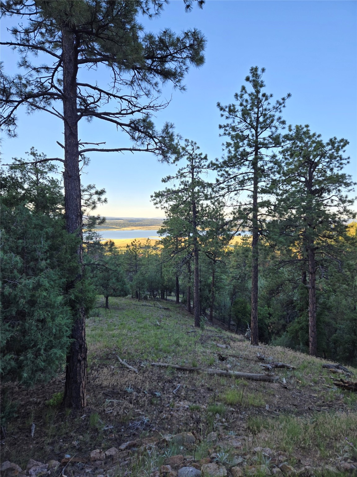 95A Elk Lane Ln, Los Ojos, New Mexico image 29