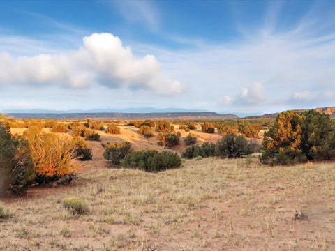 Vacant Land For Sale - TBD County Road 142<br/> Rio Arriba County, Medanales, NM 87548