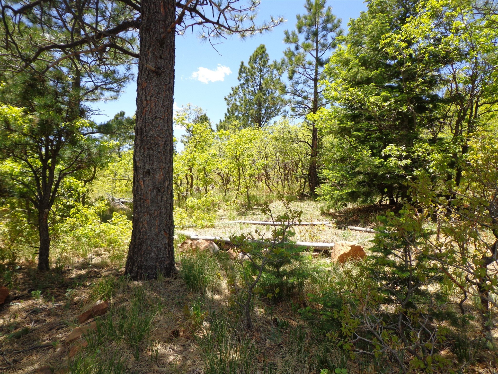 1078 Nm 120 Highway, Ocate, New Mexico image 26