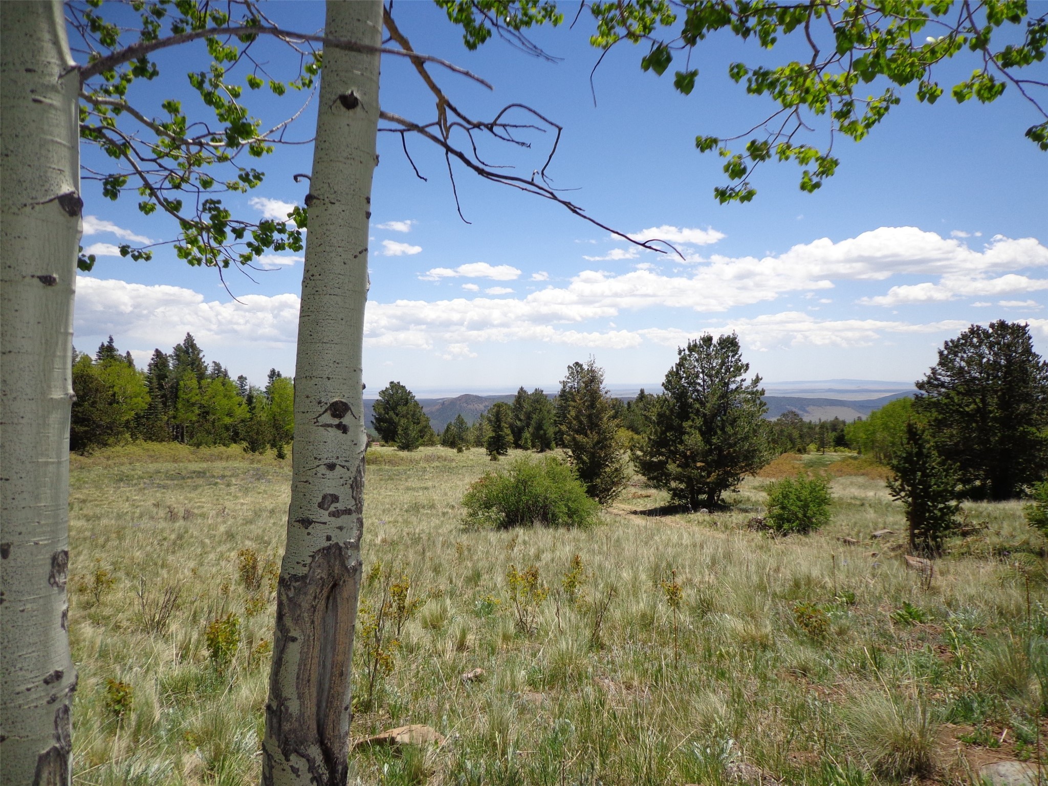 1078 Nm 120 Highway, Ocate, New Mexico image 34