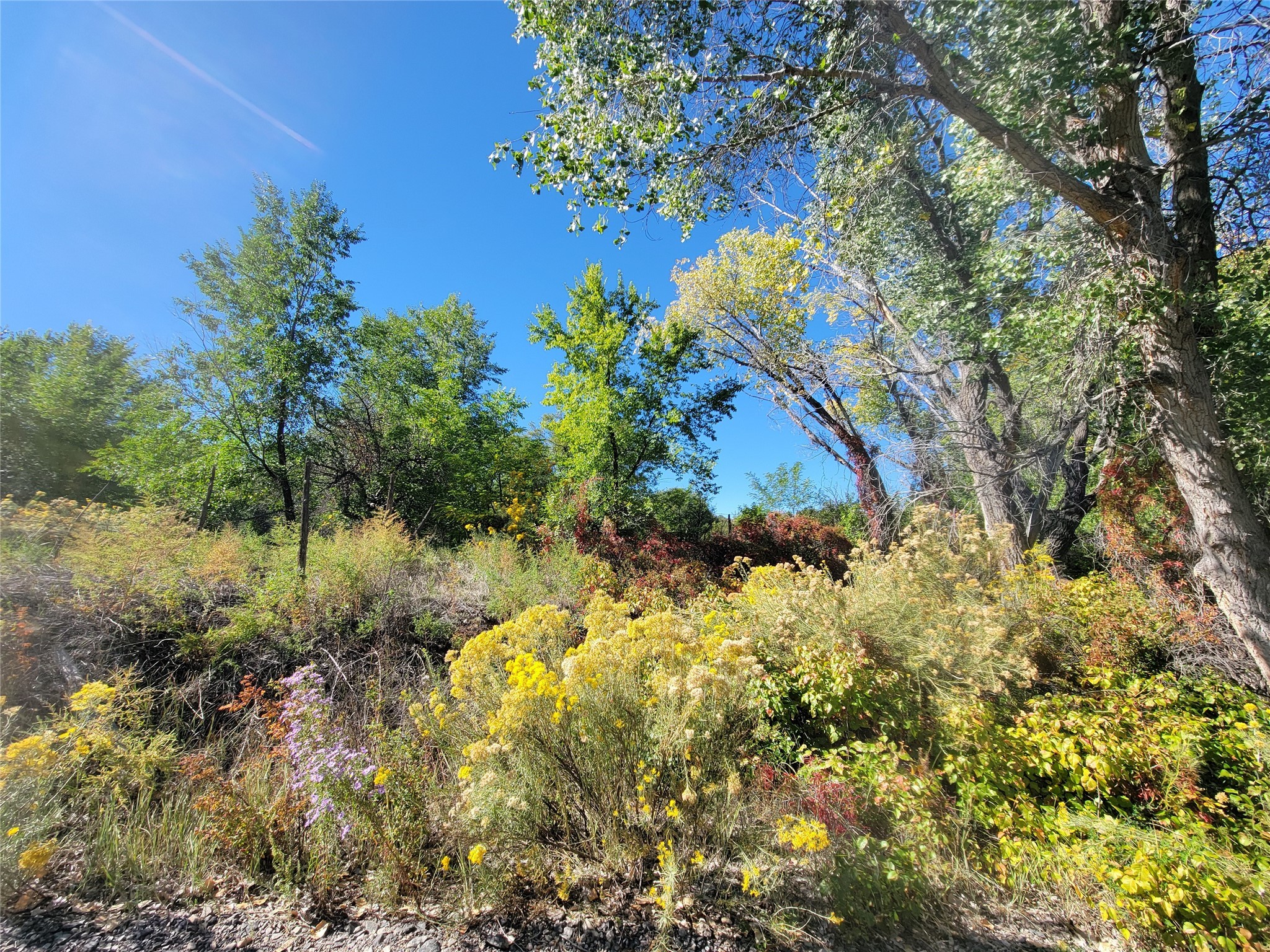 52 State Rd 580, Dixon, New Mexico image 4