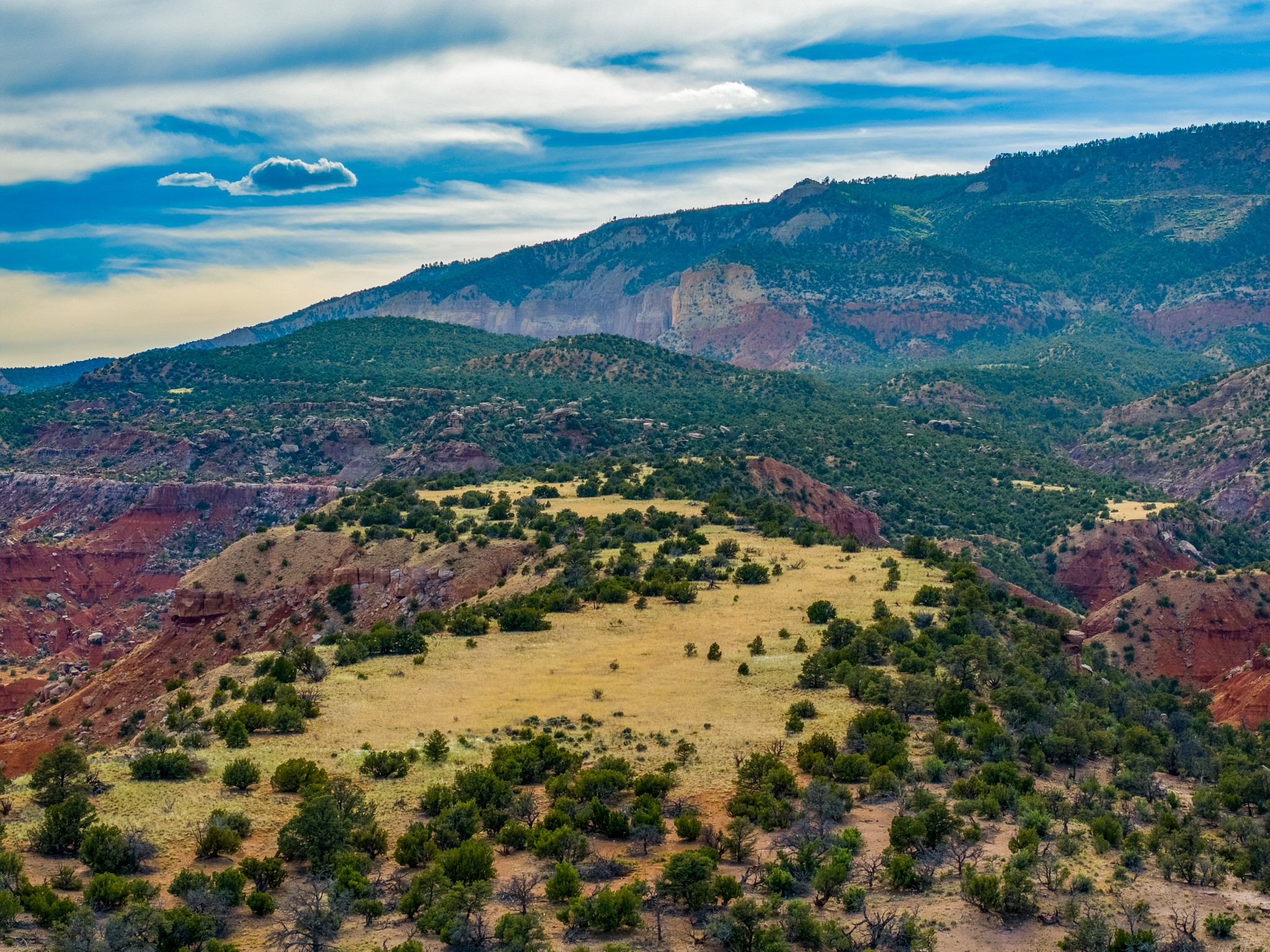 00 Red Valley Ranch, Coyote, New Mexico image 28