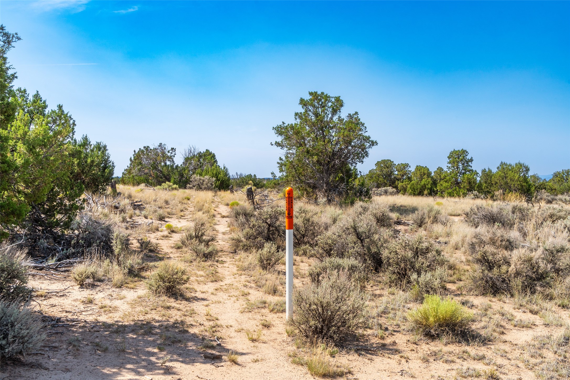 Ojo Caliente, New Mexico 87549, United States, ,Land,Active,191733