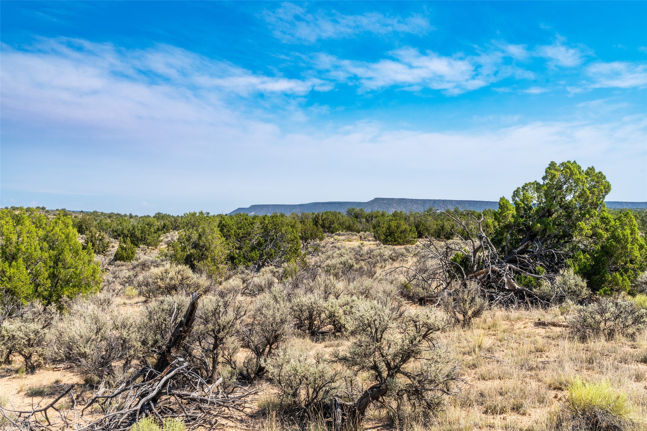 Ojo Caliente, New Mexico 87549, United States, ,Land,Active,191733