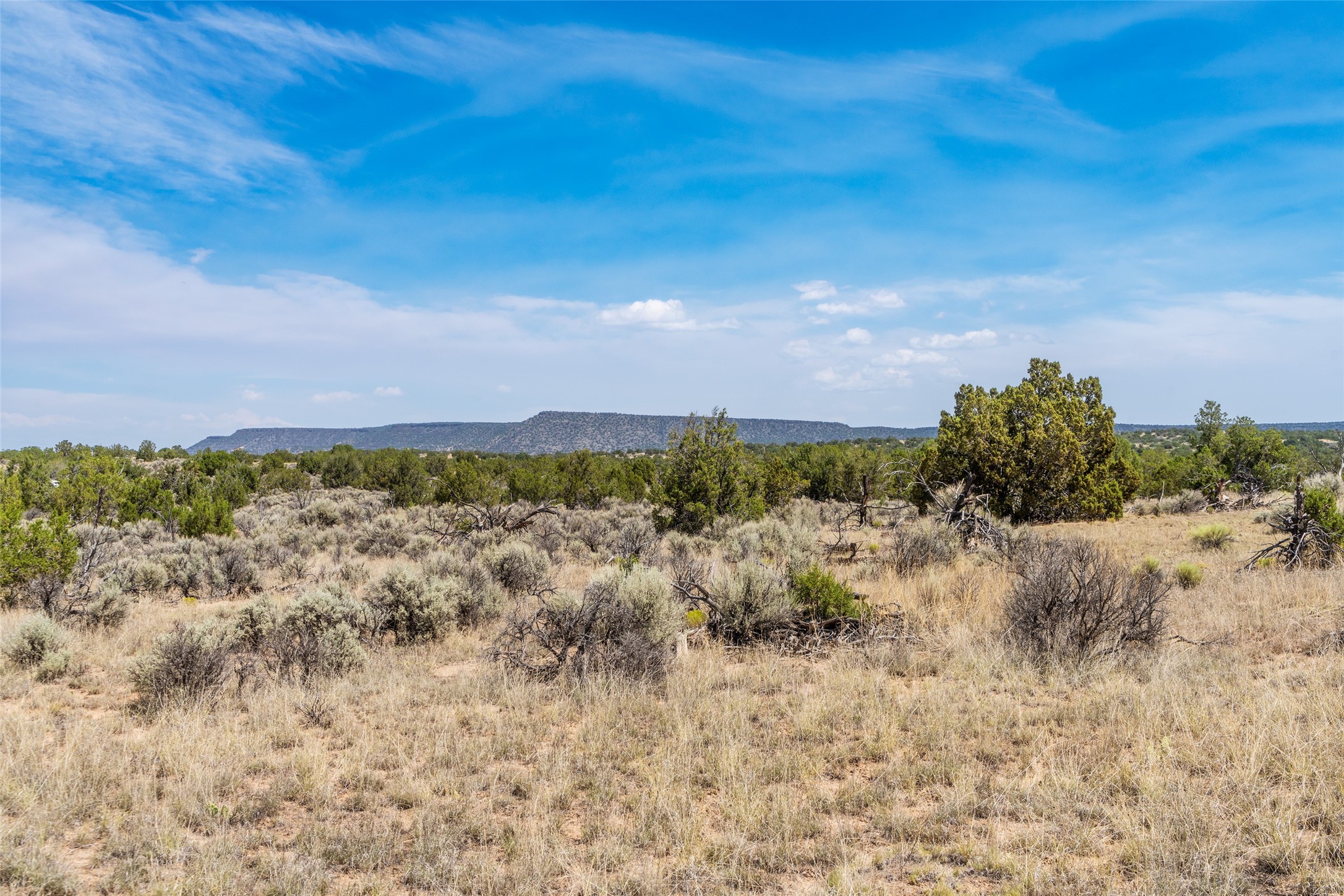 Ojo Caliente, New Mexico 87549, United States, ,Land,Active,191733