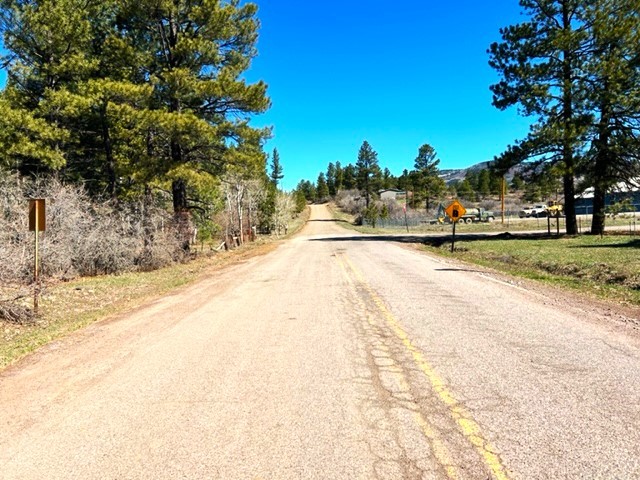 120 Nmsr29, Chama, New Mexico image 46