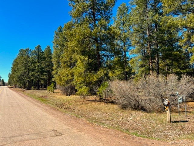 120 Nmsr29, Chama, New Mexico image 45