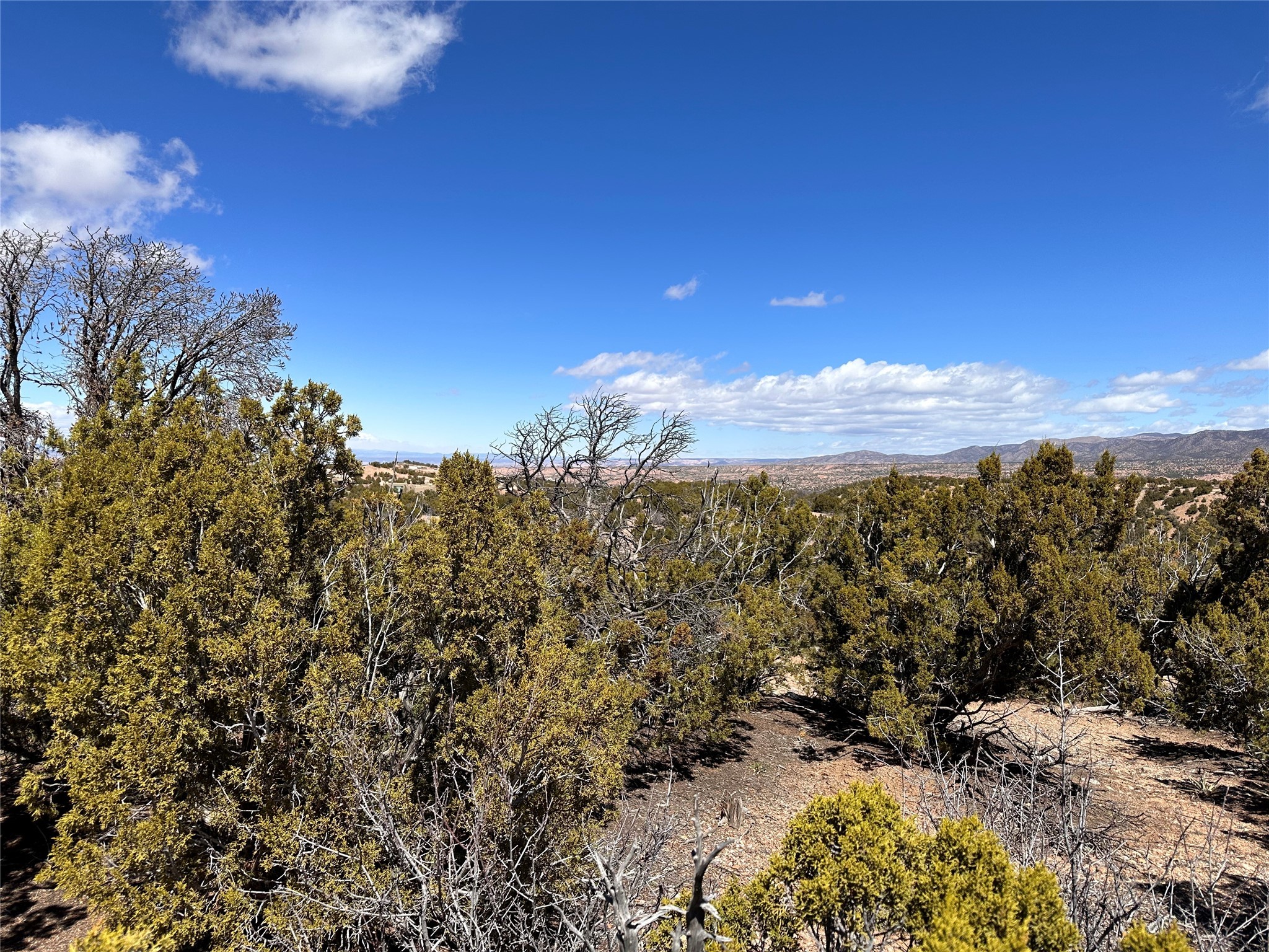 4015 Via Verdi, Lot 226, Santa Fe, New Mexico image 2