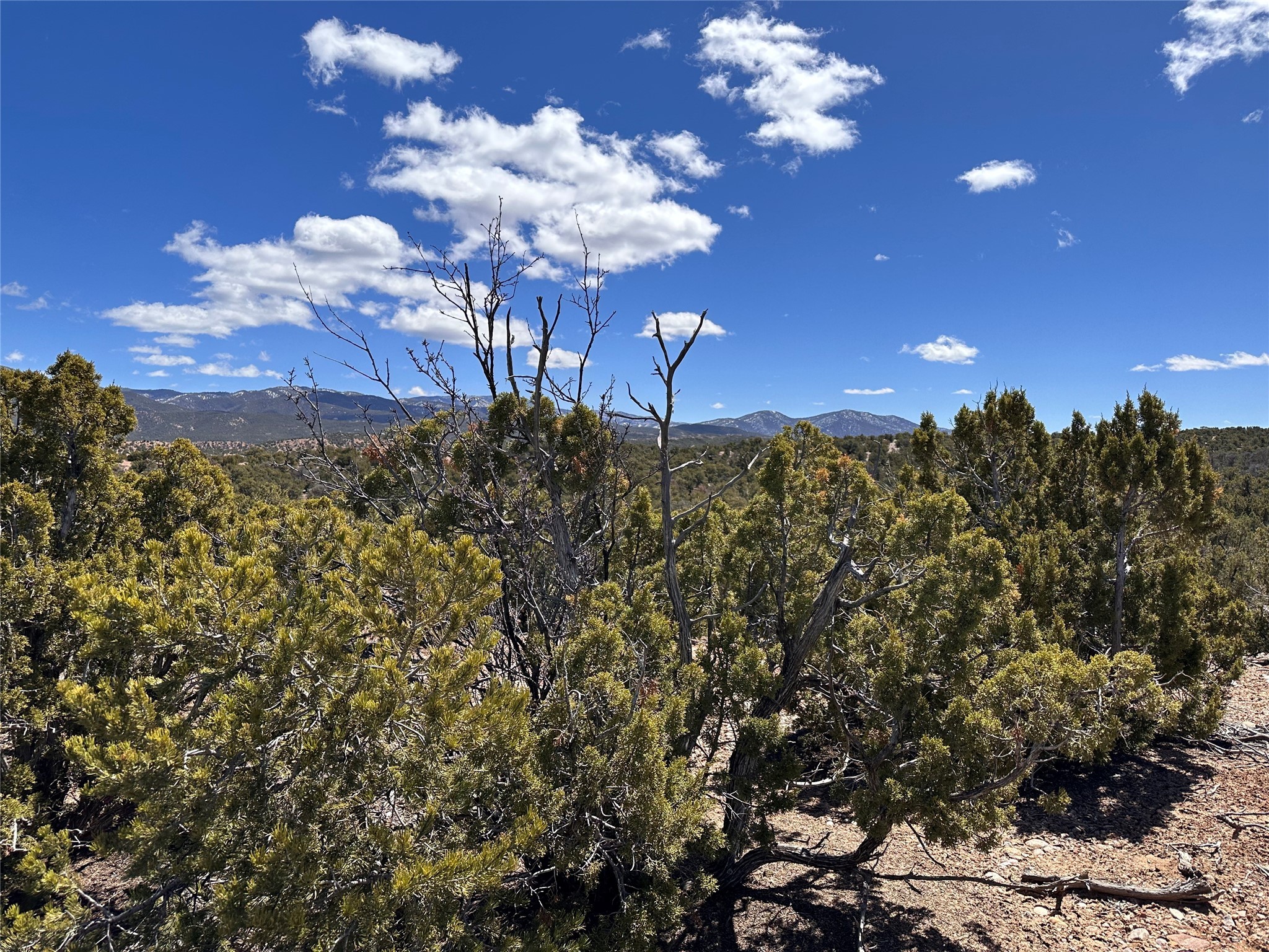 4015 Via Verdi, Lot 226, Santa Fe, New Mexico image 4