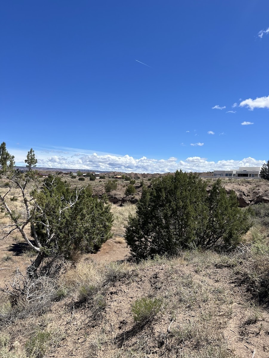 17 Avenida De Molino, Espanola, New Mexico image 12