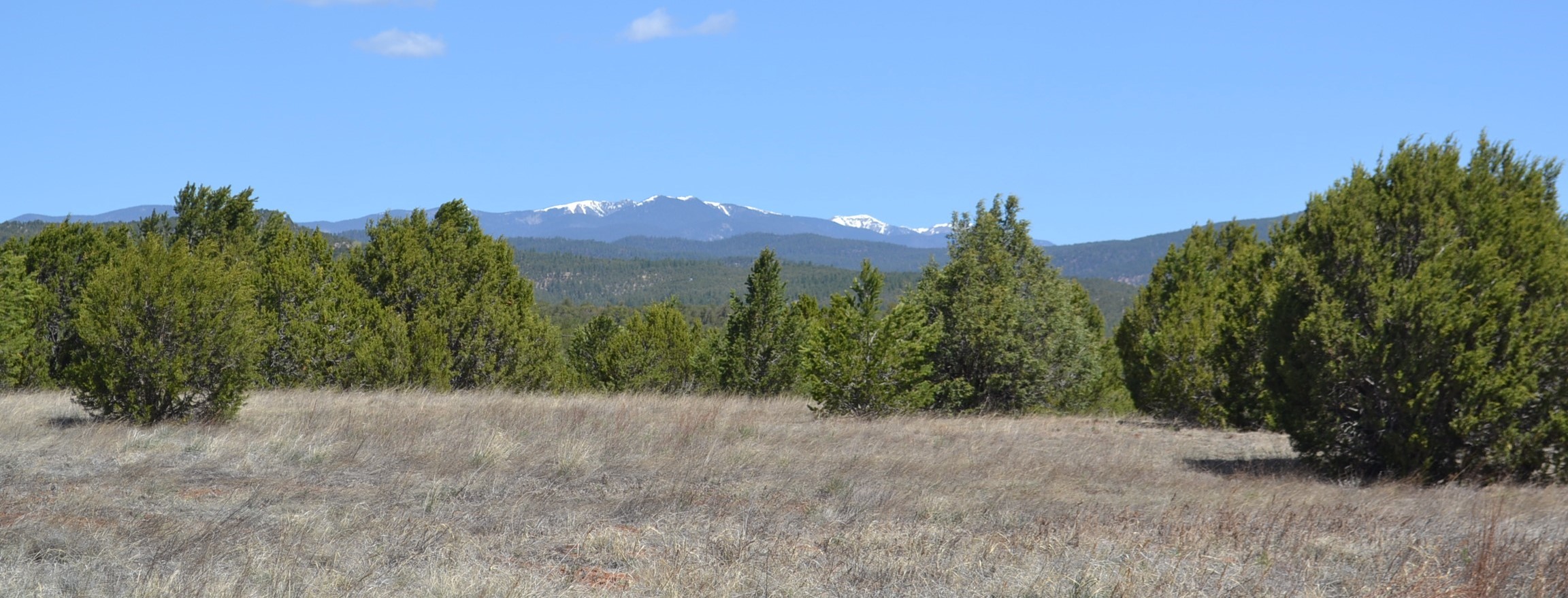 Lot 2B Camino Real Loop, Pecos, New Mexico image 5