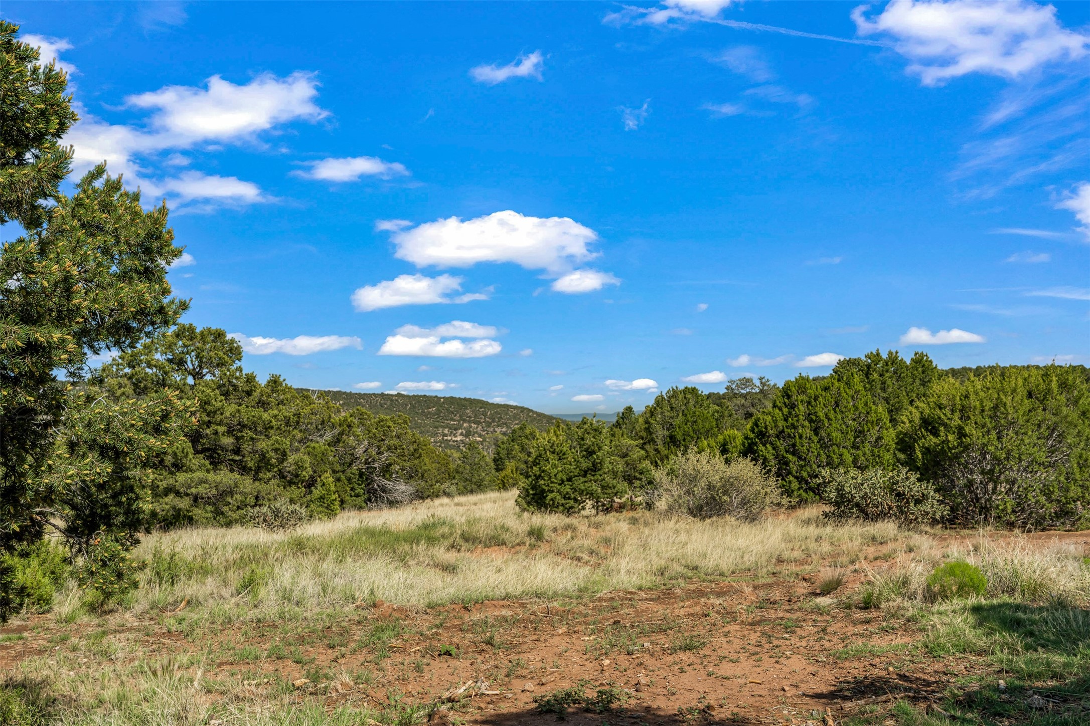 126 Hidden Valley Ranch Road, Ilfeld, New Mexico image 45
