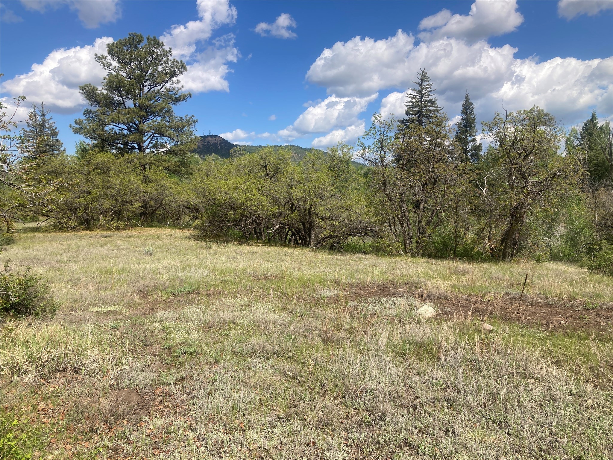 TBD Indian Paintbrush/creekside Tract, Chama, New Mexico image 12